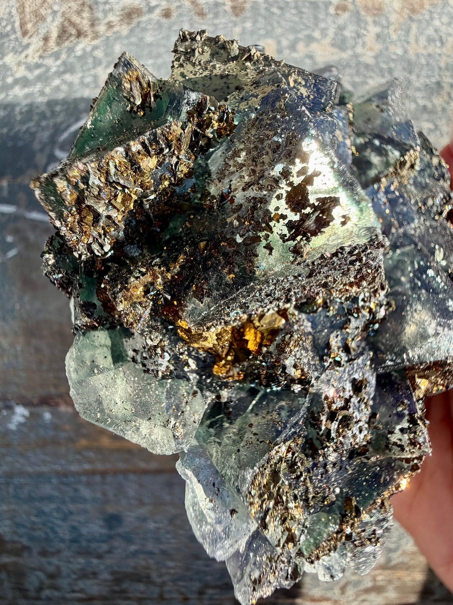Gorgeous Cubic Dark Blue/Purple Fluorite Specimen coated in Pyrite | China | Opt 45