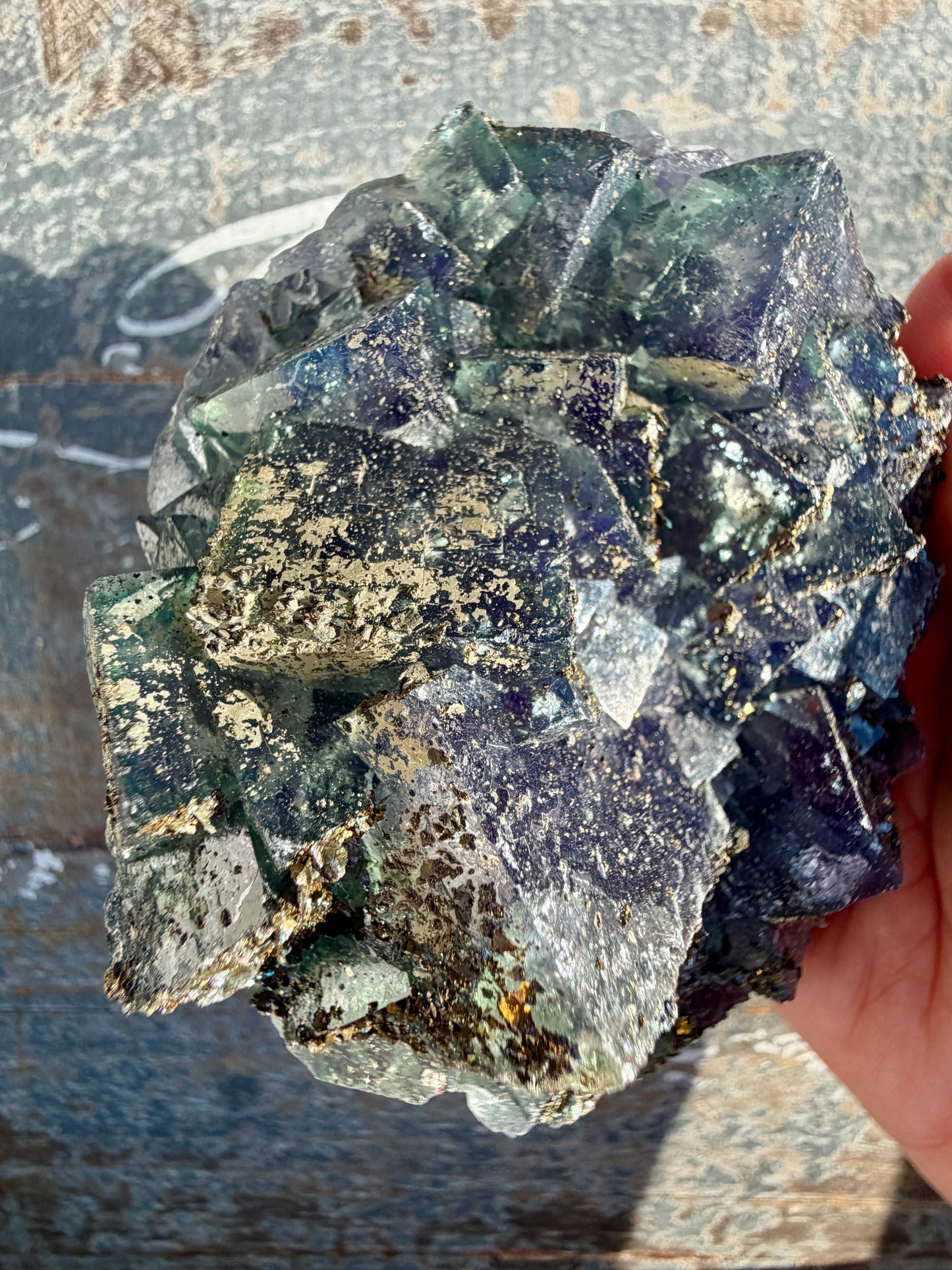 Gorgeous Cubic Dark Blue/Purple Fluorite Specimen coated in Pyrite | China | Opt 45
