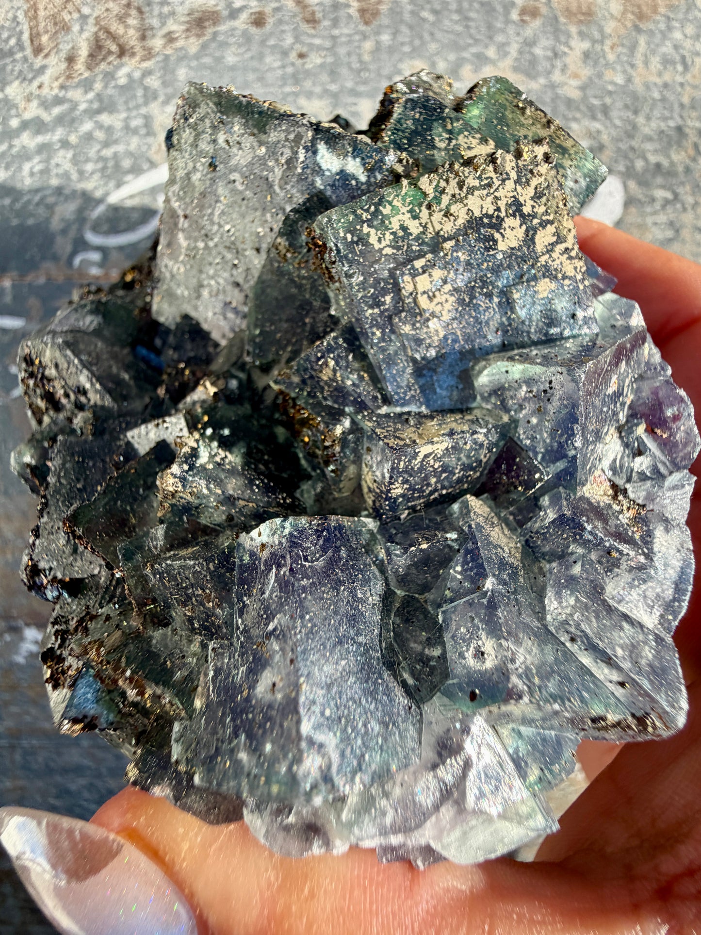 Gorgeous Cubic Dark Blue/Purple Fluorite Specimen coated in Pyrite | China | Opt 45