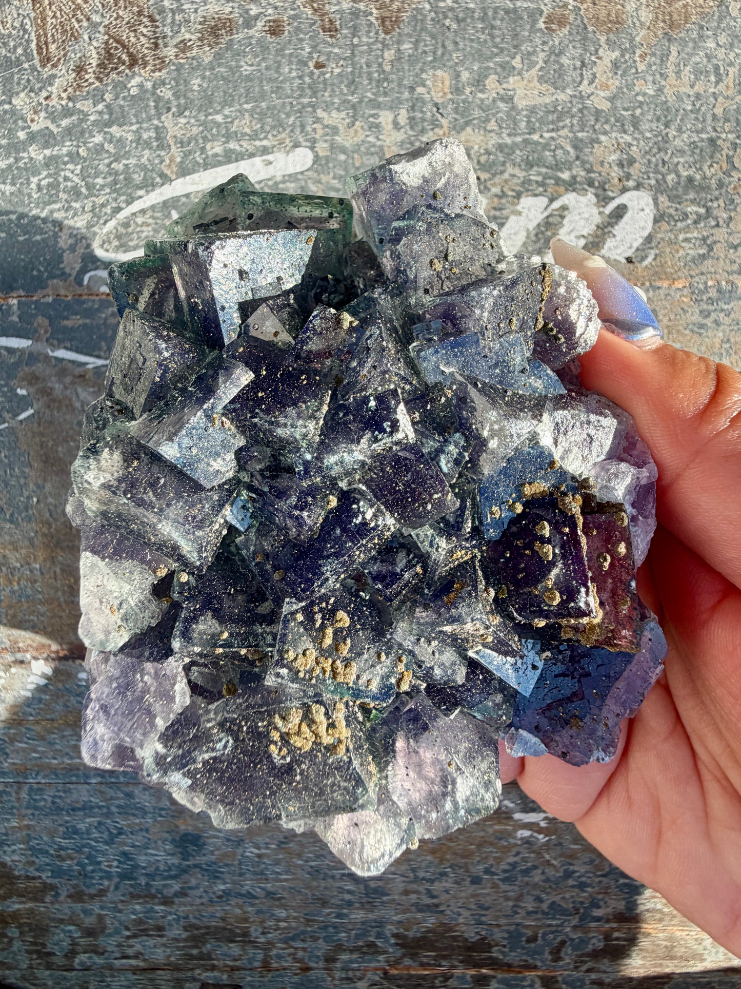 Gorgeous Cubic Dark Blue/Purple Fluorite Specimen coated in Pyrite | China | Opt 46