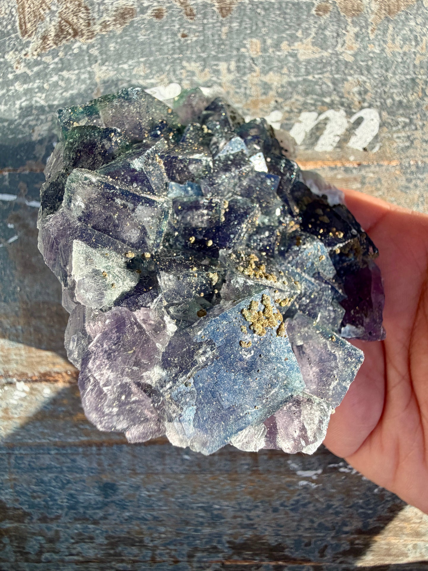 Gorgeous Cubic Dark Blue/Purple Fluorite Specimen coated in Pyrite | China | Opt 46