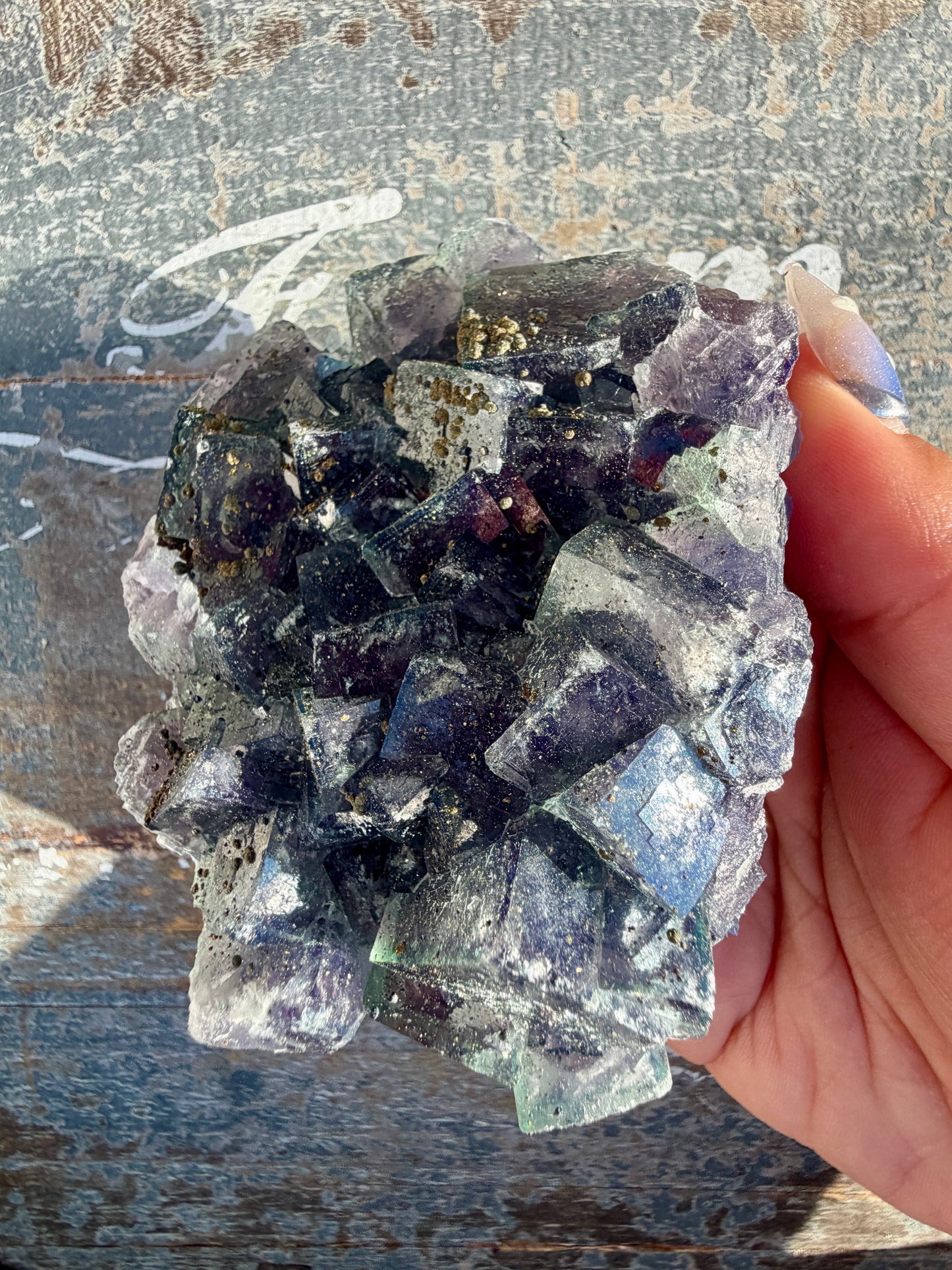 Gorgeous Cubic Dark Blue/Purple Fluorite Specimen coated in Pyrite | China | Opt 46