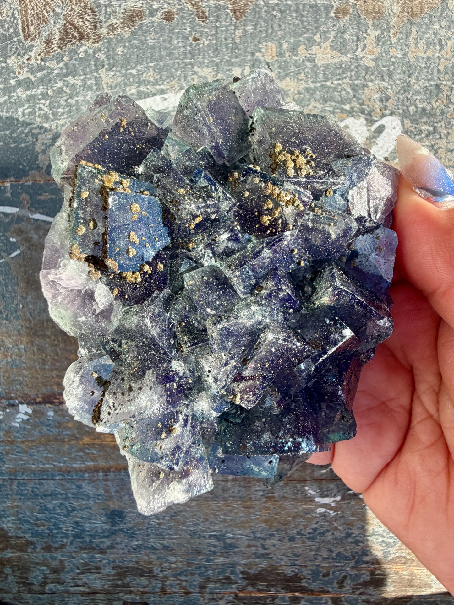 Gorgeous Cubic Dark Blue/Purple Fluorite Specimen coated in Pyrite | China | Opt 46