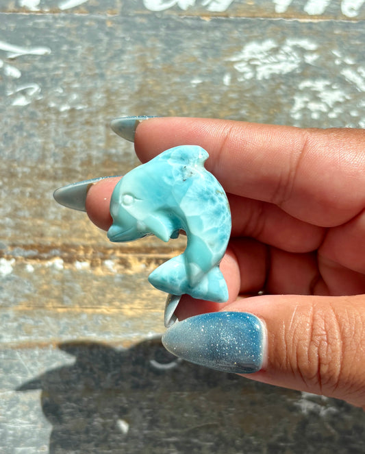 Gorgeous Larimar Hand Carved Dolphin from the Dominican Republic