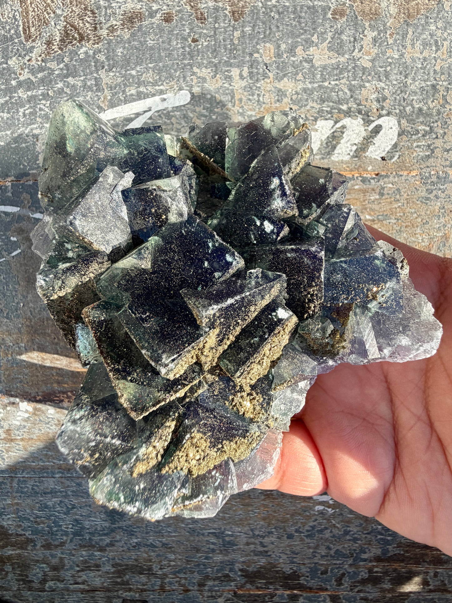 Gorgeous Cubic Dark Blue/Green Fluorite Specimen coated in Pyrite | China | Opt 48