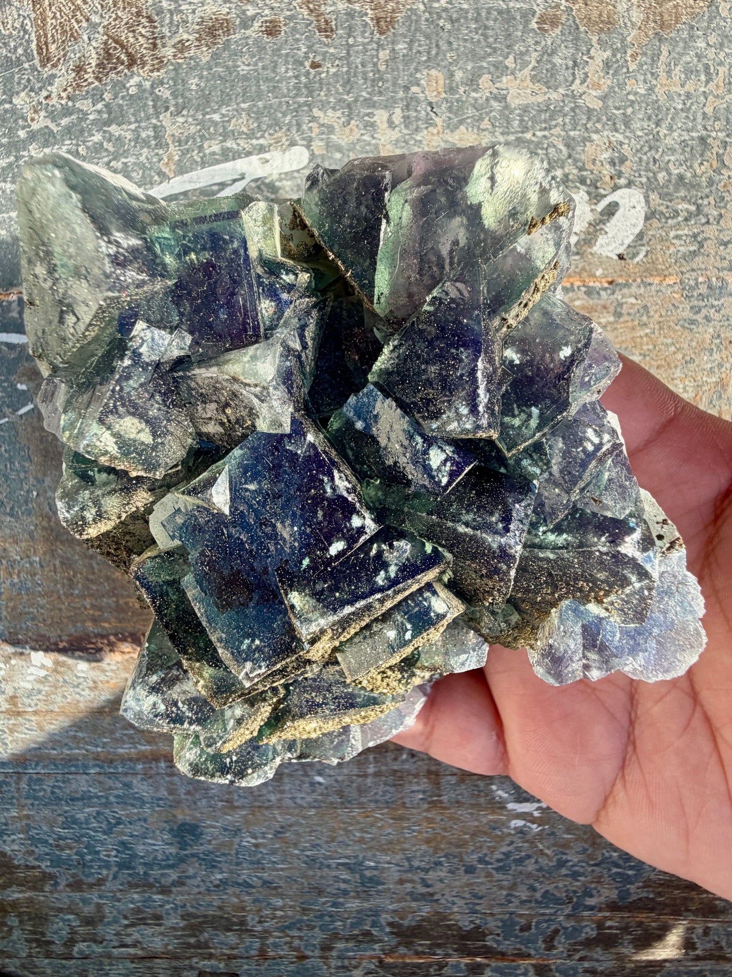 Gorgeous Cubic Dark Blue/Green Fluorite Specimen coated in Pyrite | China | Opt 48