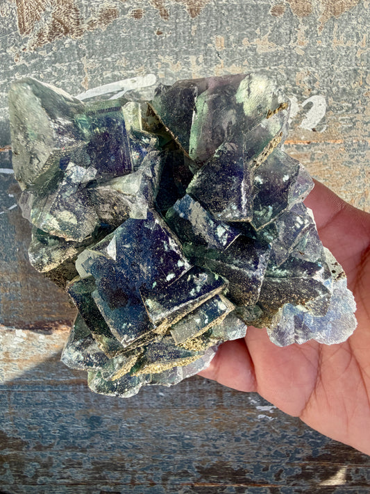 Gorgeous Cubic Dark Blue/Green Fluorite Specimen coated in Pyrite | China | Opt 48