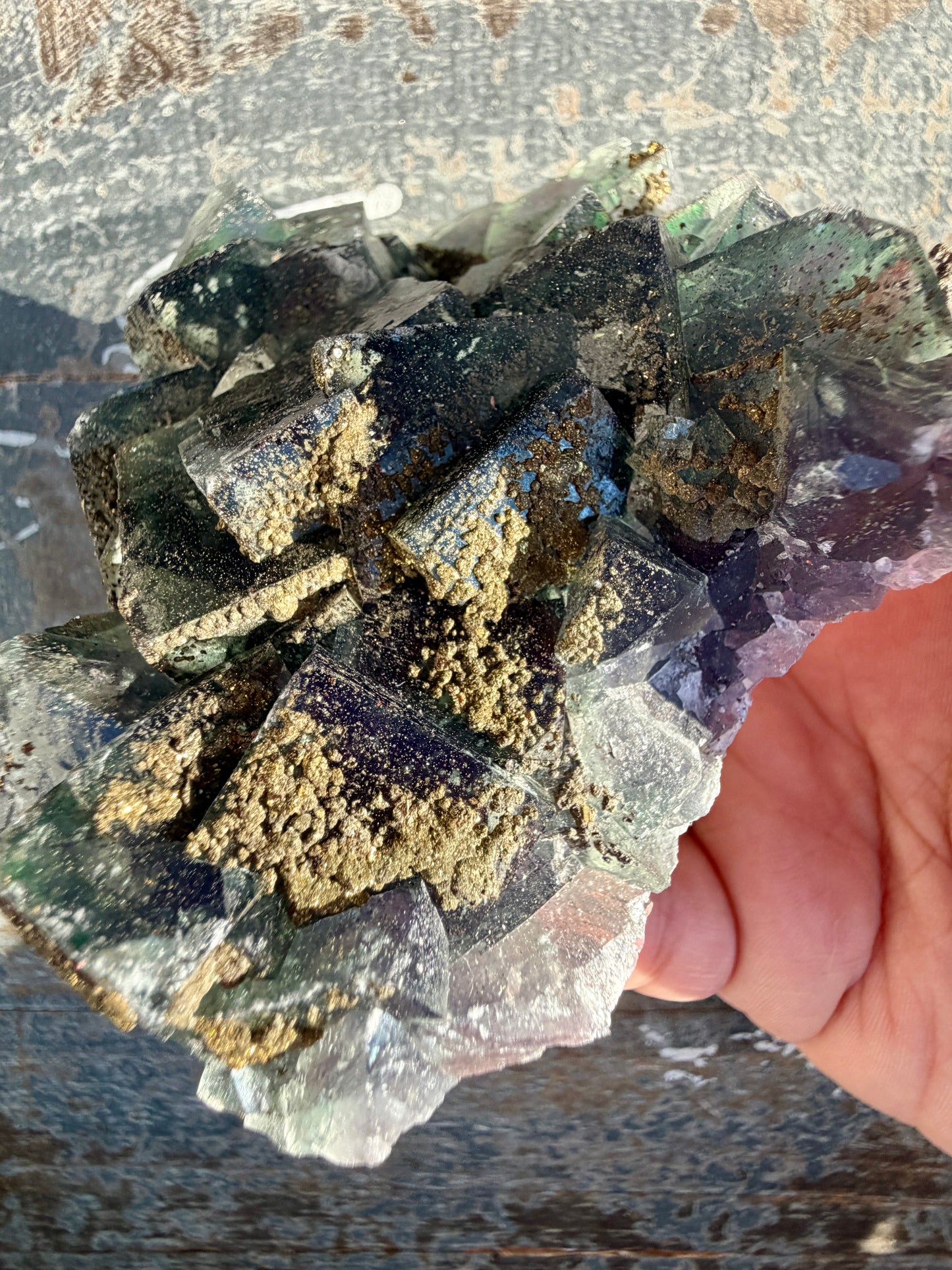 Gorgeous Cubic Dark Blue/Green Fluorite Specimen coated in Pyrite | China | Opt 48