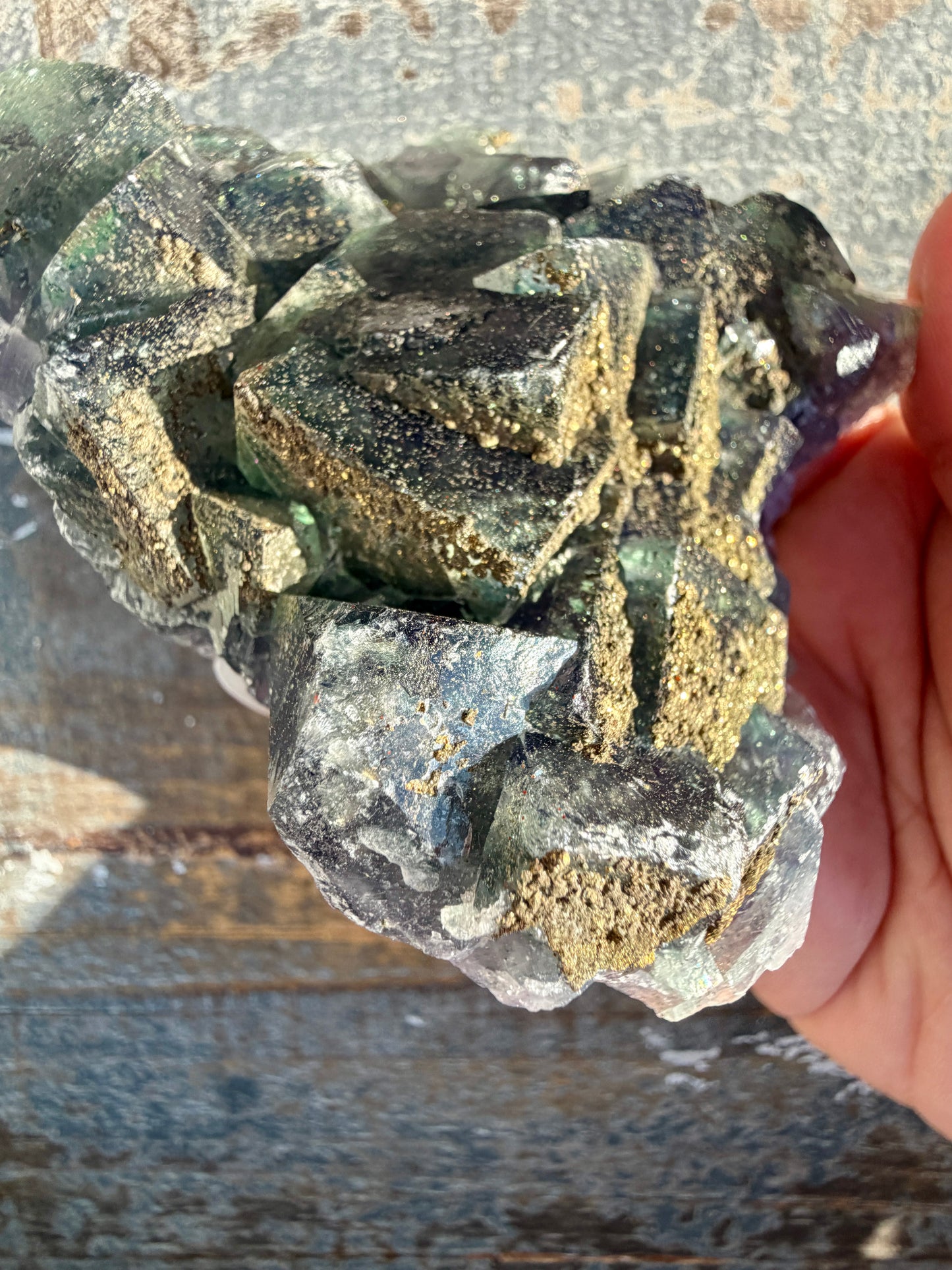 Gorgeous Cubic Dark Blue/Green Fluorite Specimen coated in Pyrite | China | Opt 48