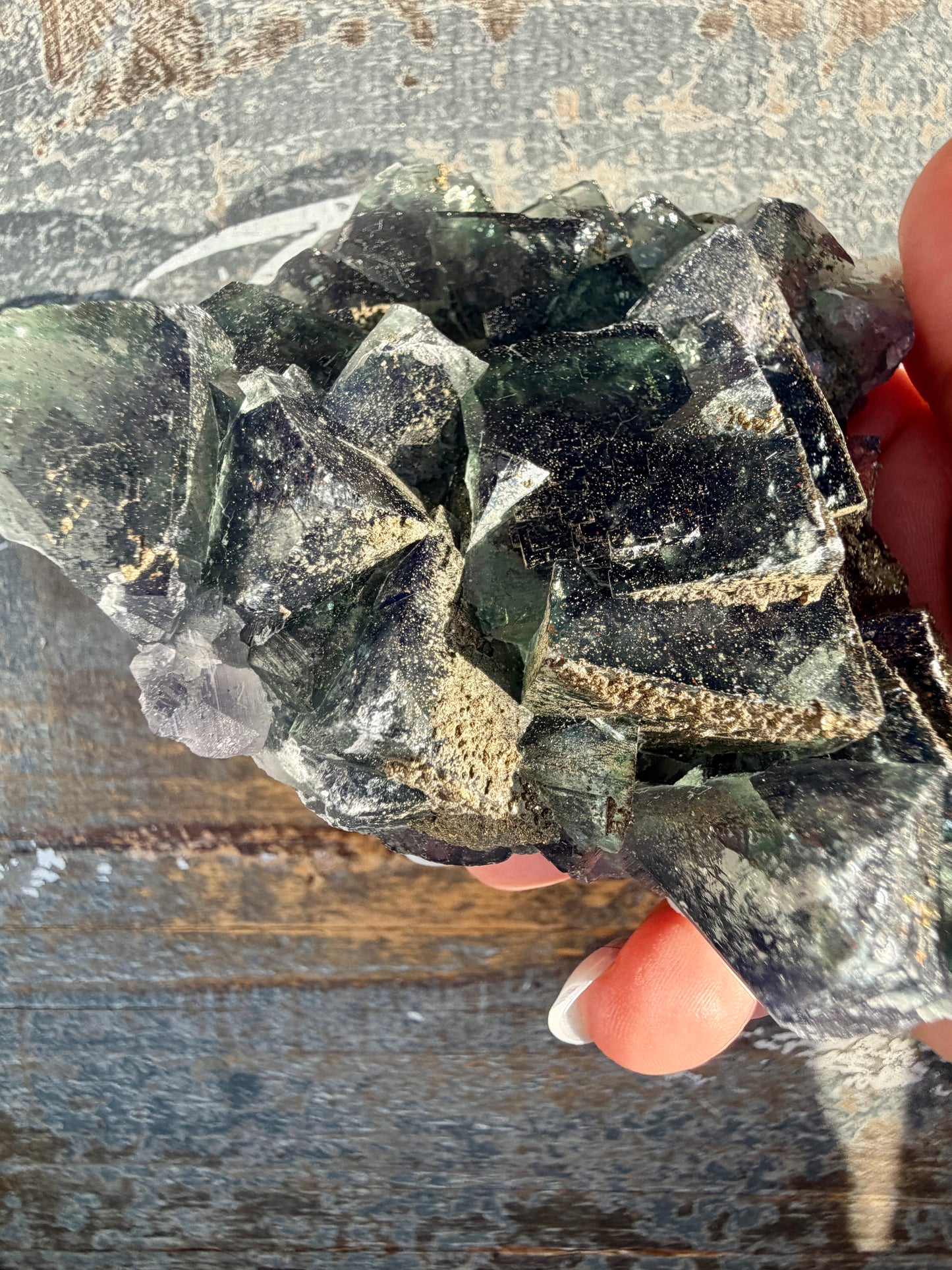 Gorgeous Cubic Dark Blue/Green Fluorite Specimen coated in Pyrite | China | Opt 48