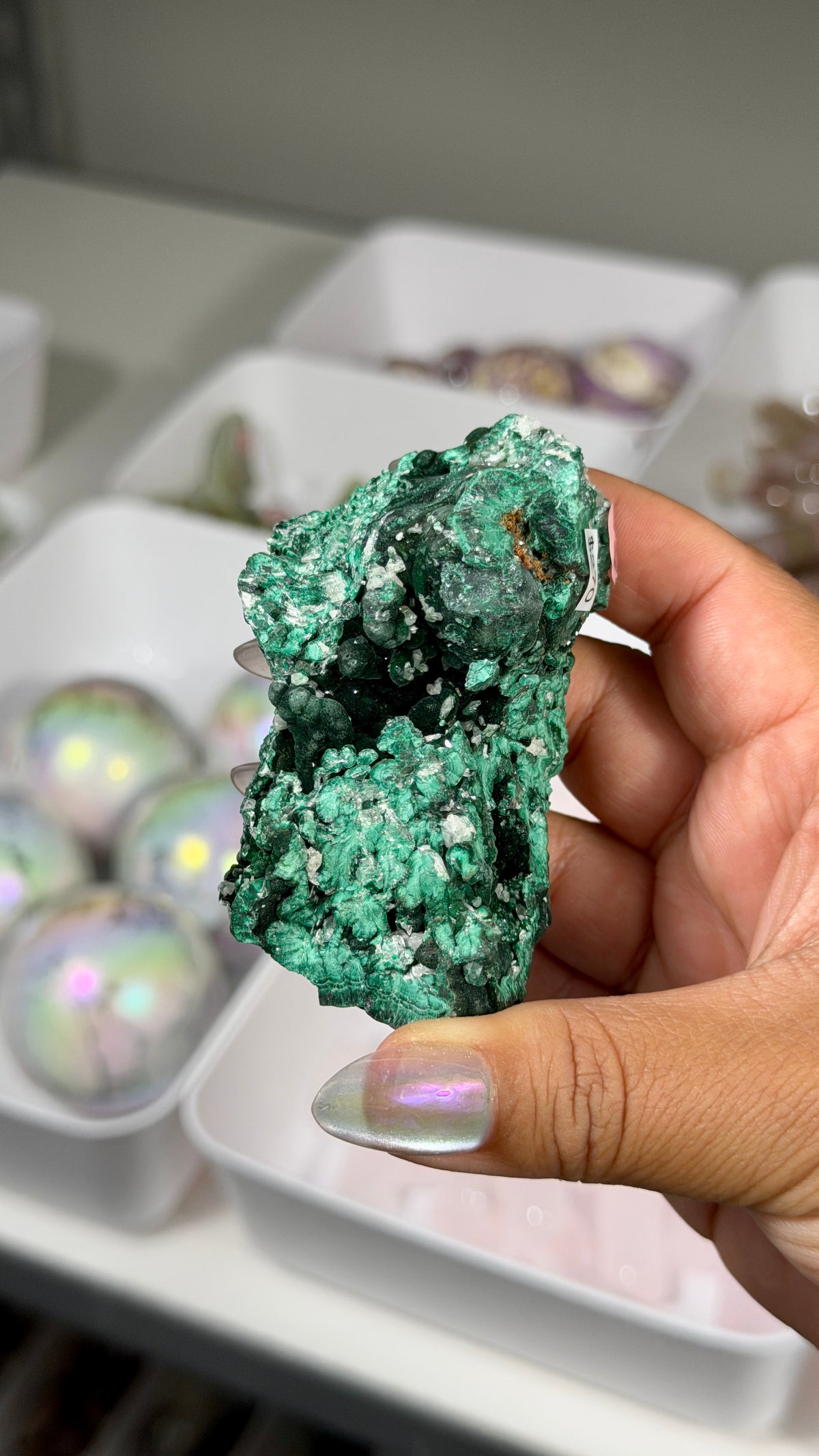 Gorgeous Malachite Specimen | The Congo | Opt 49