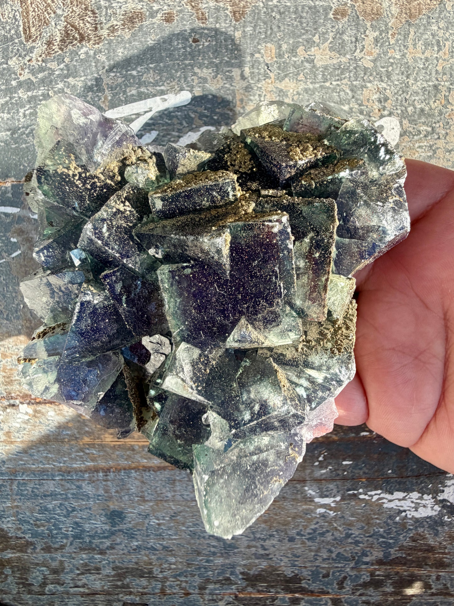 Gorgeous Cubic Dark Blue/Green Fluorite Specimen coated in Pyrite | China | Opt 48