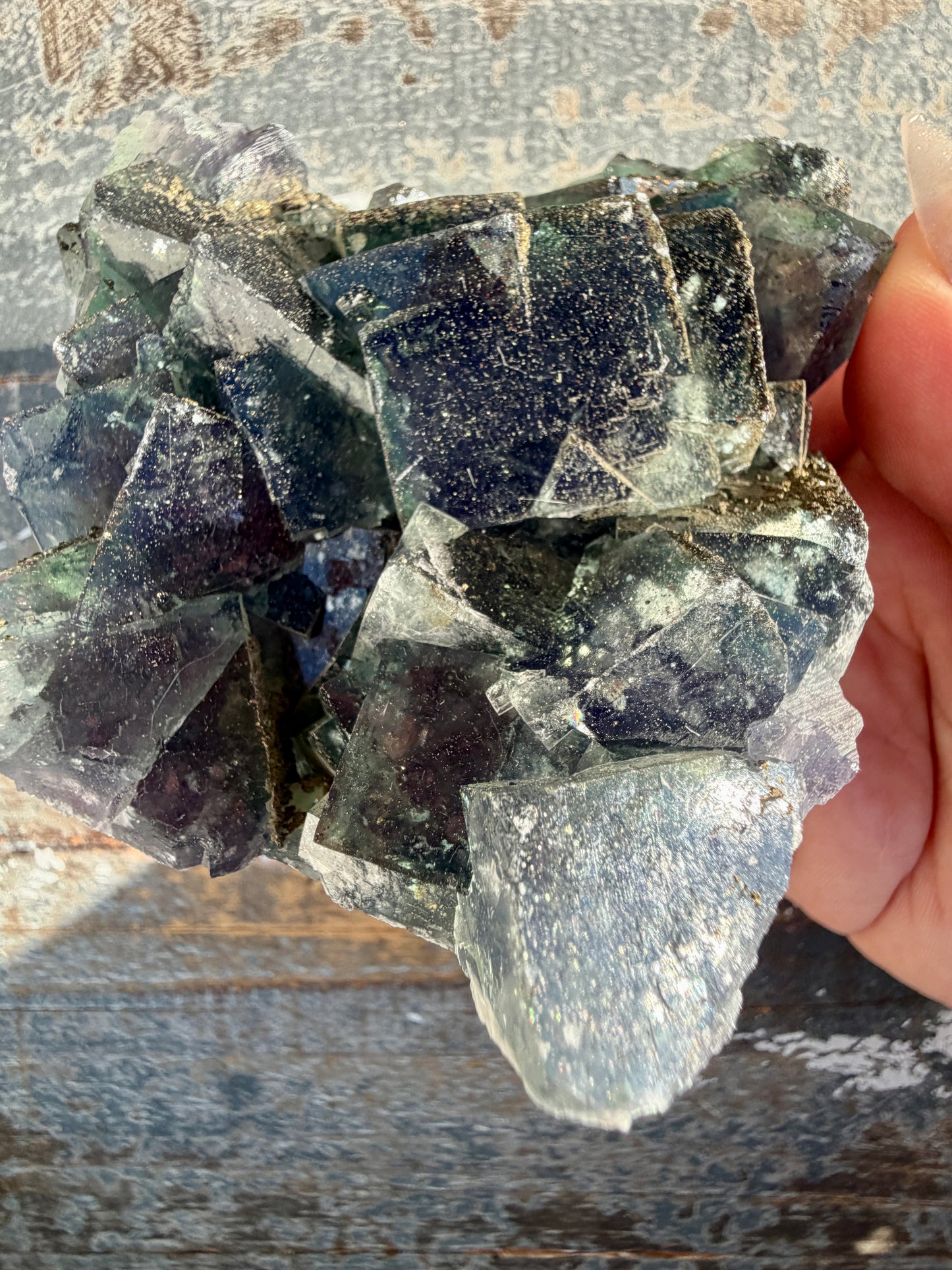 Gorgeous Cubic Dark Blue/Green Fluorite Specimen coated in Pyrite | China | Opt 48
