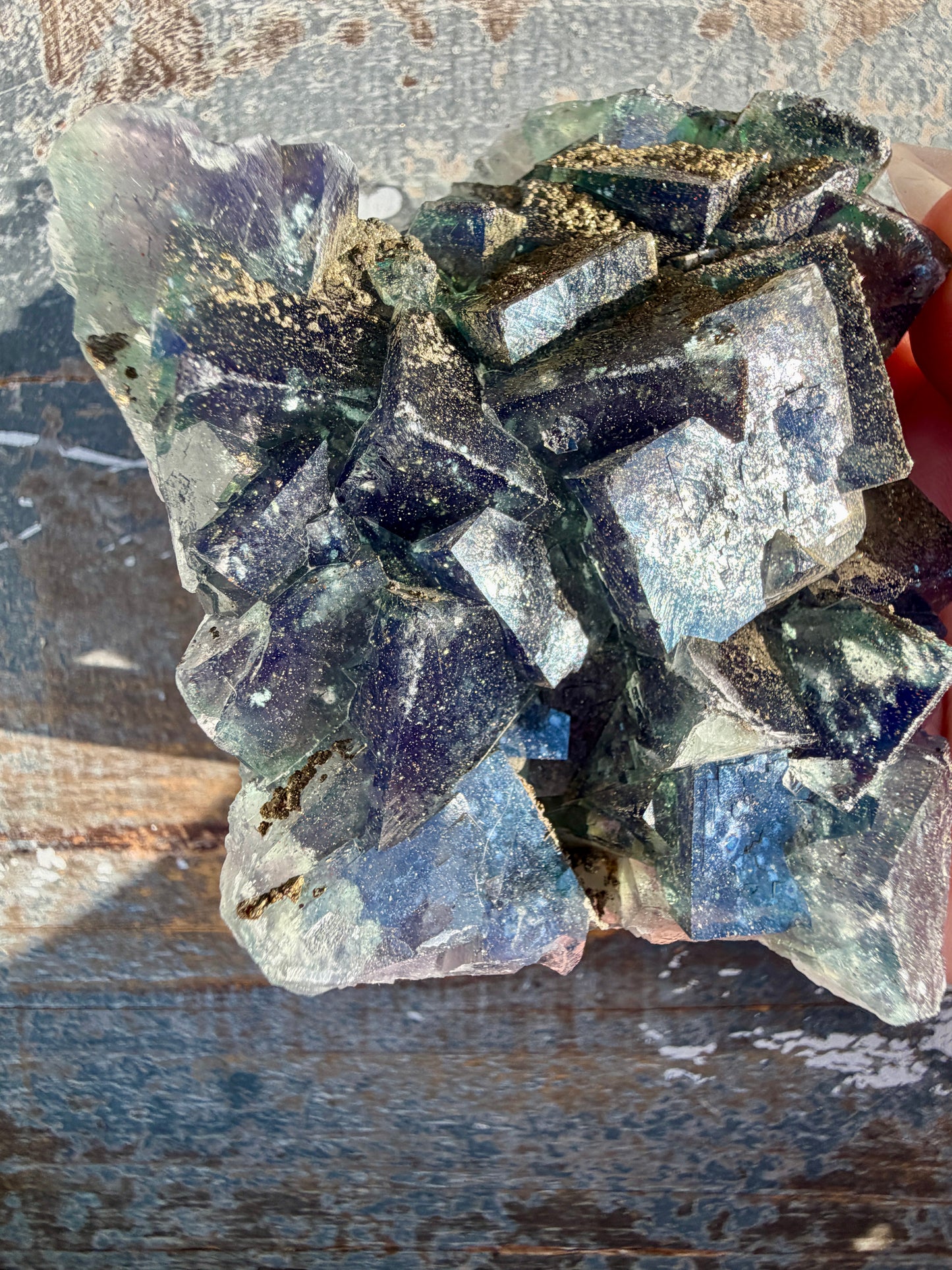 Gorgeous Cubic Dark Blue/Green Fluorite Specimen coated in Pyrite | China | Opt 48