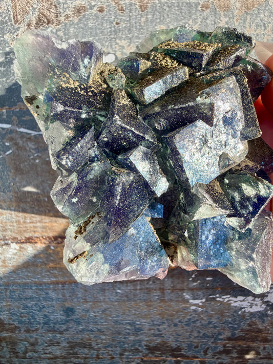 Gorgeous Cubic Dark Blue/Green Fluorite Specimen coated in Pyrite | China | Opt 48