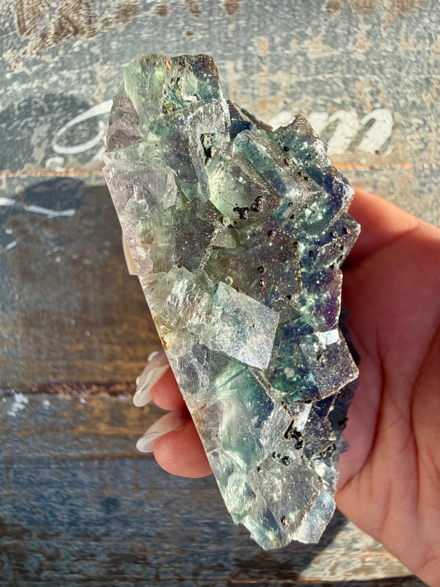 Gorgeous Cubic Dark Blue/Green Fluorite Specimen coated in Pyrite | China | Opt 57