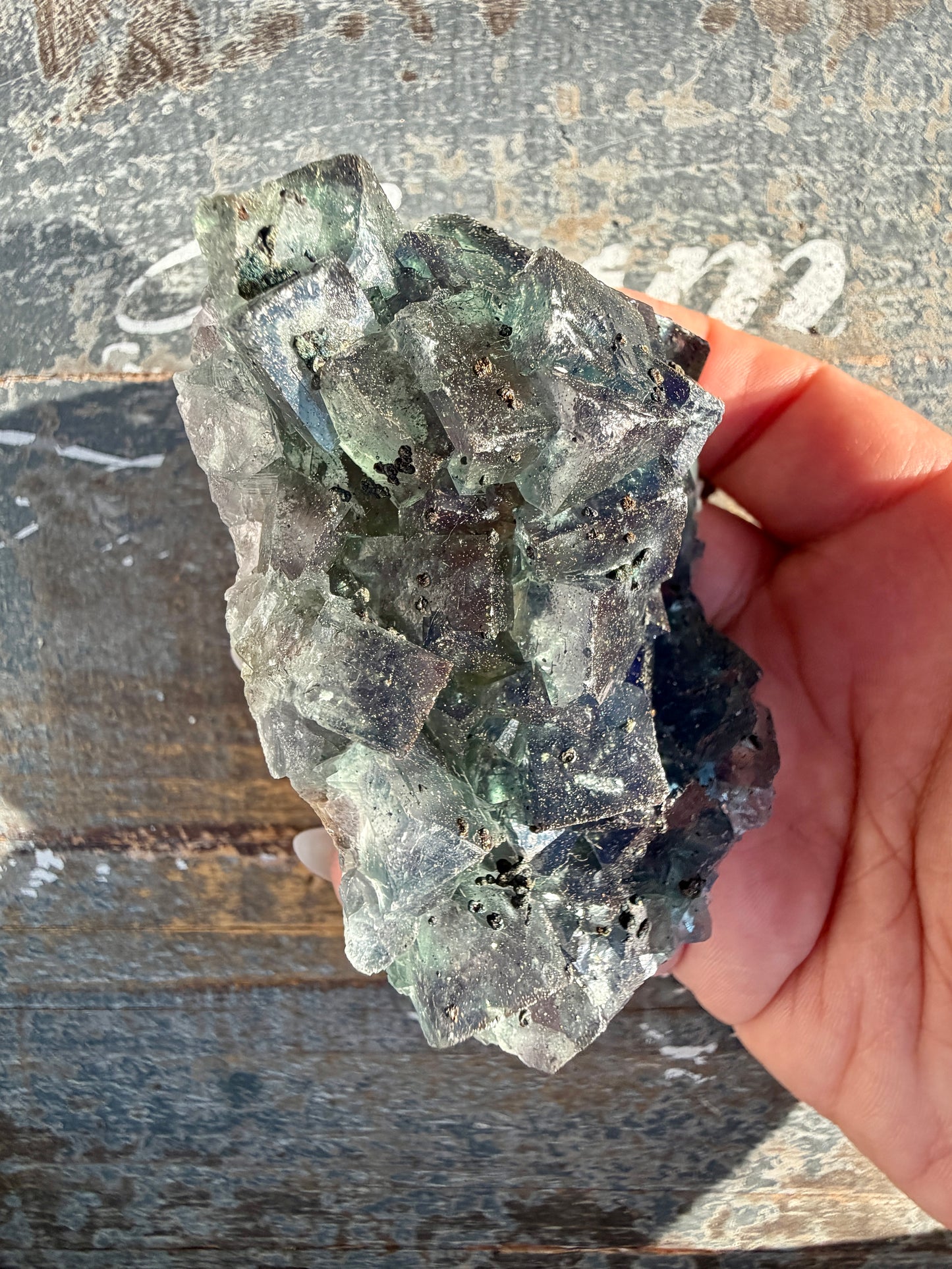 Gorgeous Cubic Dark Blue/Green Fluorite Specimen coated in Pyrite | China | Opt 57