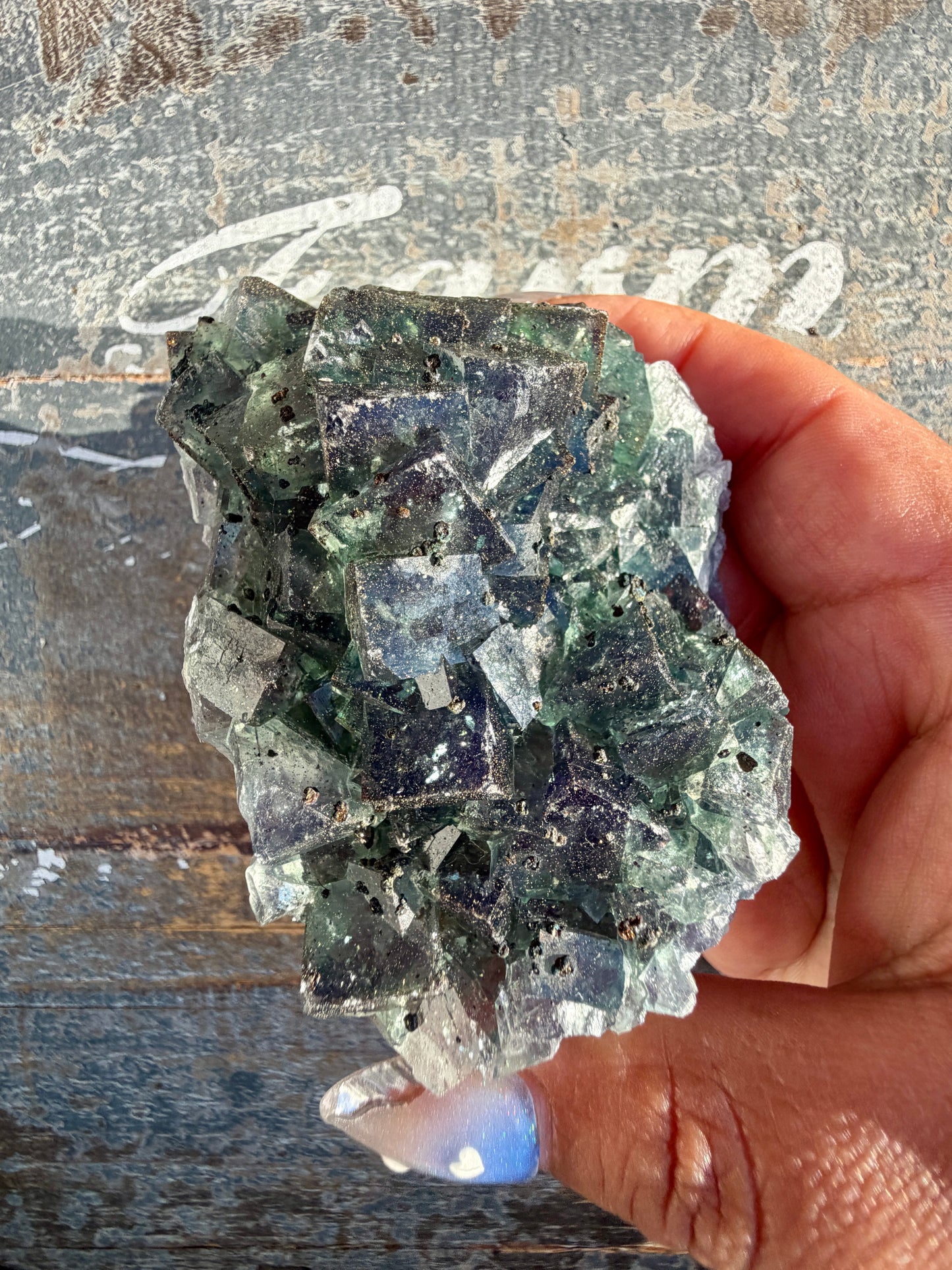 Gorgeous Cubic Dark Blue/Green Fluorite Specimen coated in Pyrite | China | Opt 57