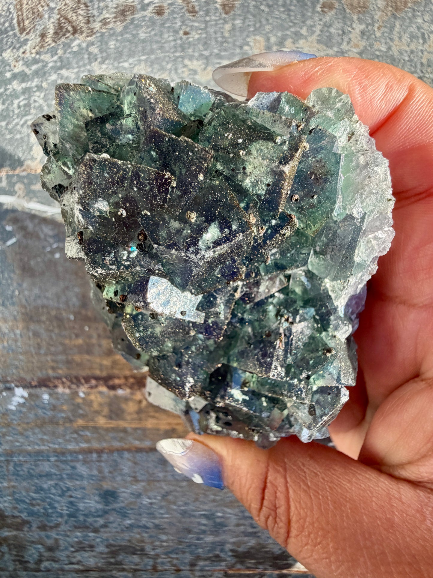 Gorgeous Cubic Dark Blue/Green Fluorite Specimen coated in Pyrite | China | Opt 57