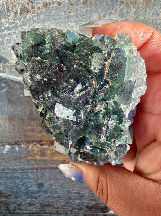 Gorgeous Cubic Dark Blue/Green Fluorite Specimen coated in Pyrite | China | Opt 57