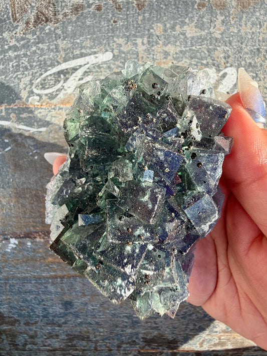 Gorgeous Cubic Dark Blue/Green Fluorite Specimen coated in Pyrite | China | Opt 57