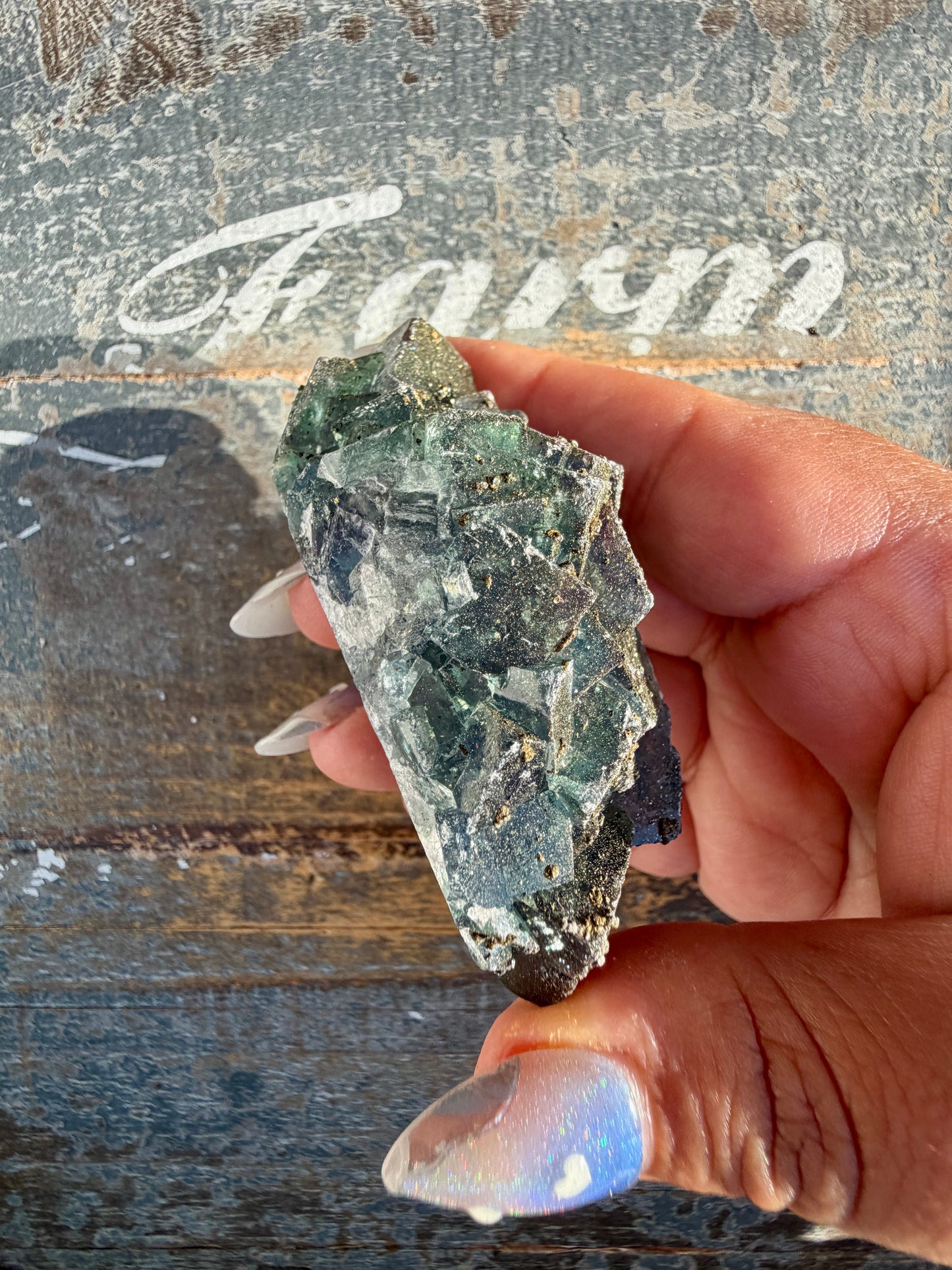 Gorgeous Cubic Dark Blue/Green Fluorite Specimen coated in Pyrite | China | Opt 61