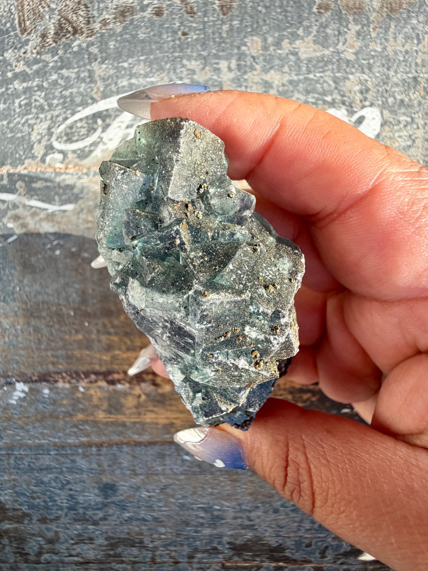 Gorgeous Cubic Dark Blue/Green Fluorite Specimen coated in Pyrite | China | Opt 61