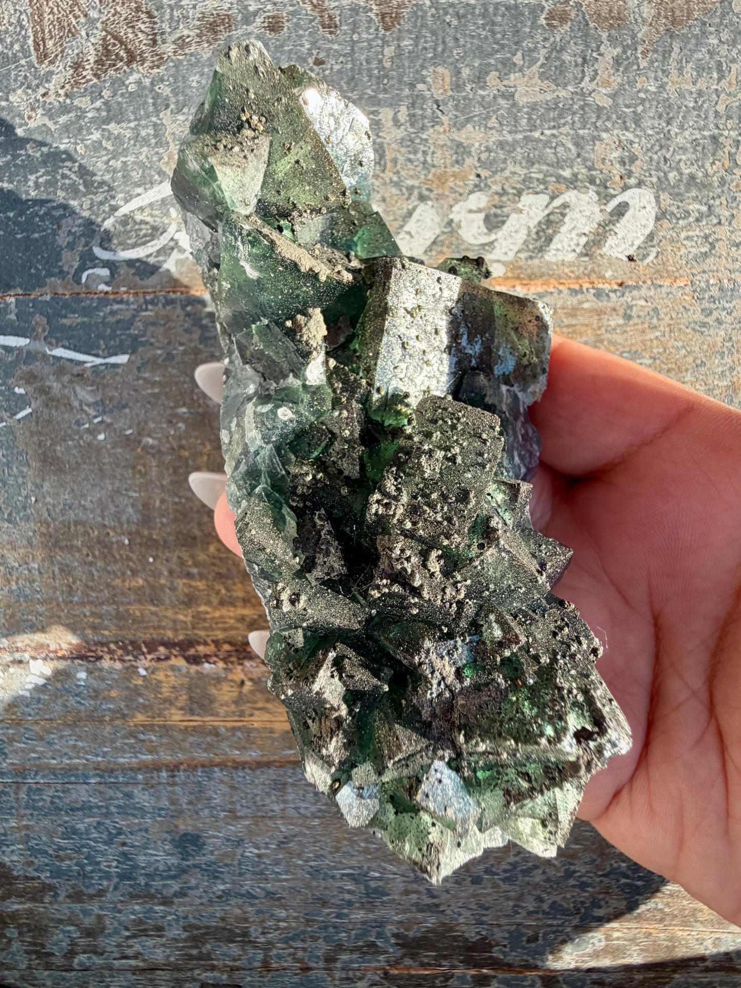 Gorgeous Cubic Dark Blue/Green Fluorite Specimen coated in Pyrite | China | Opt 56