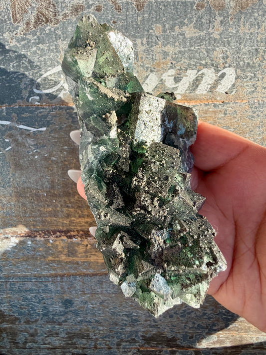 Gorgeous Cubic Dark Blue/Green Fluorite Specimen coated in Pyrite | China | Opt 56