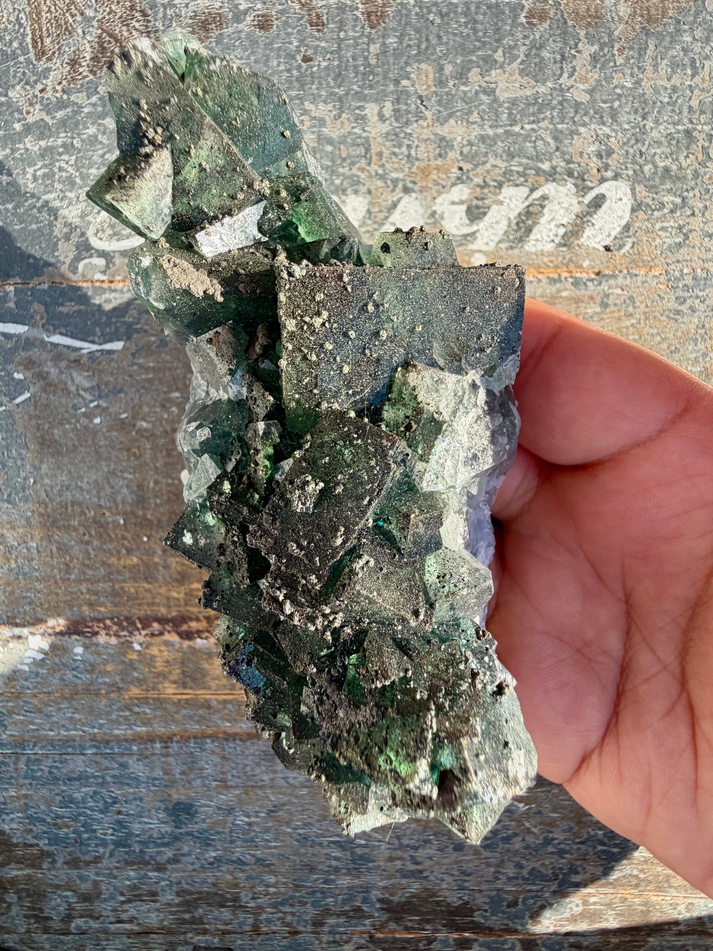 Gorgeous Cubic Dark Blue/Green Fluorite Specimen coated in Pyrite | China | Opt 56