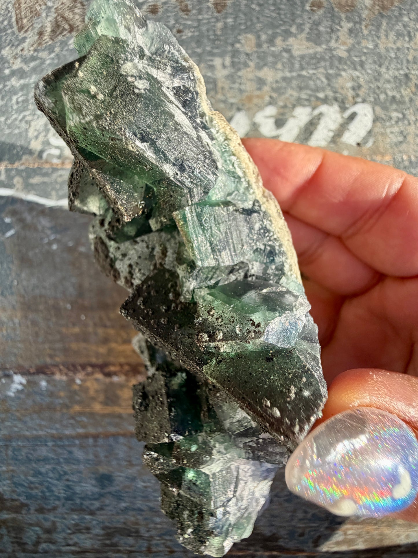 Gorgeous Cubic Dark Blue/Green Fluorite Specimen coated in Pyrite | China | Opt 56