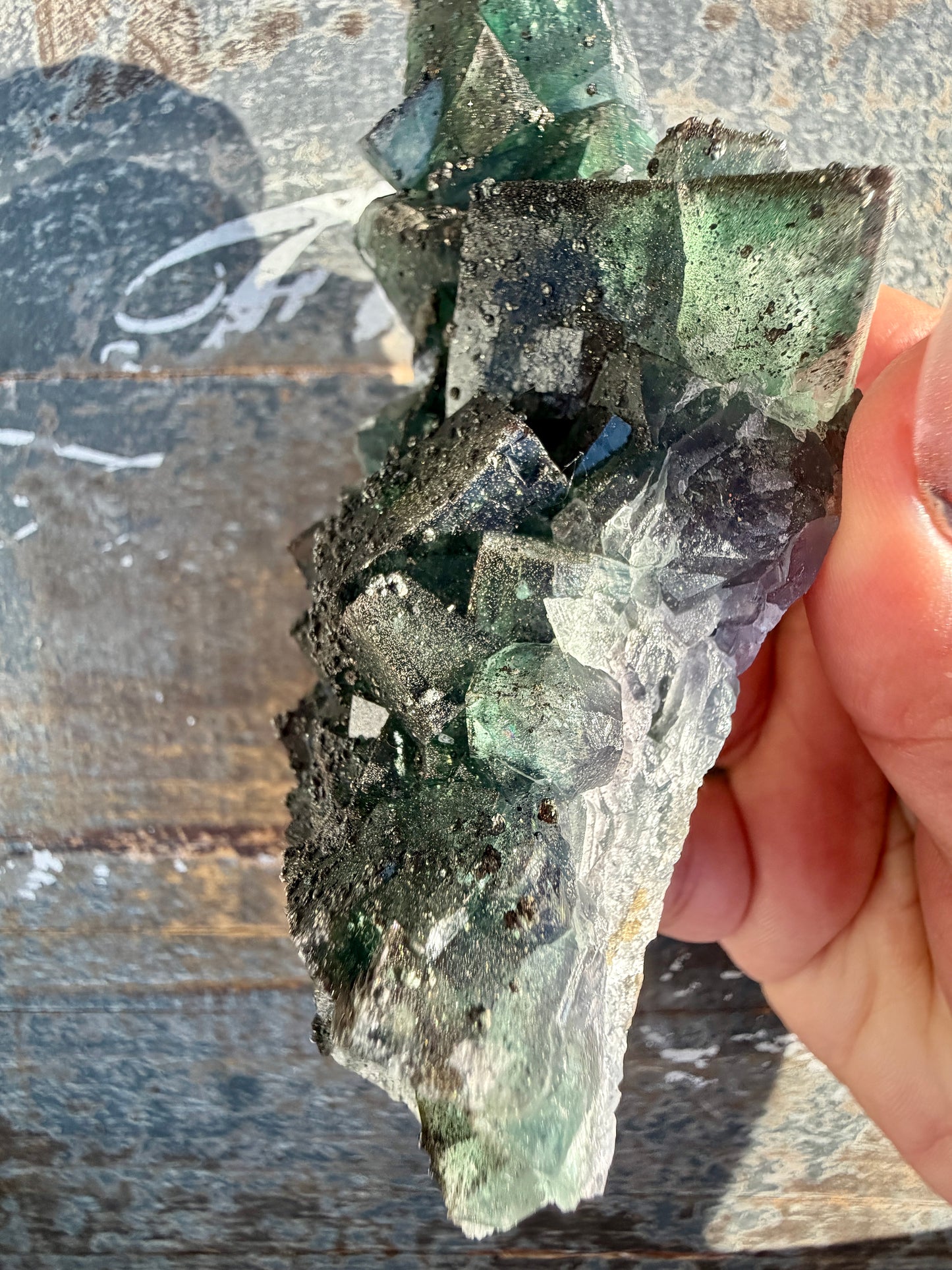 Gorgeous Cubic Dark Blue/Green Fluorite Specimen coated in Pyrite | China | Opt 56