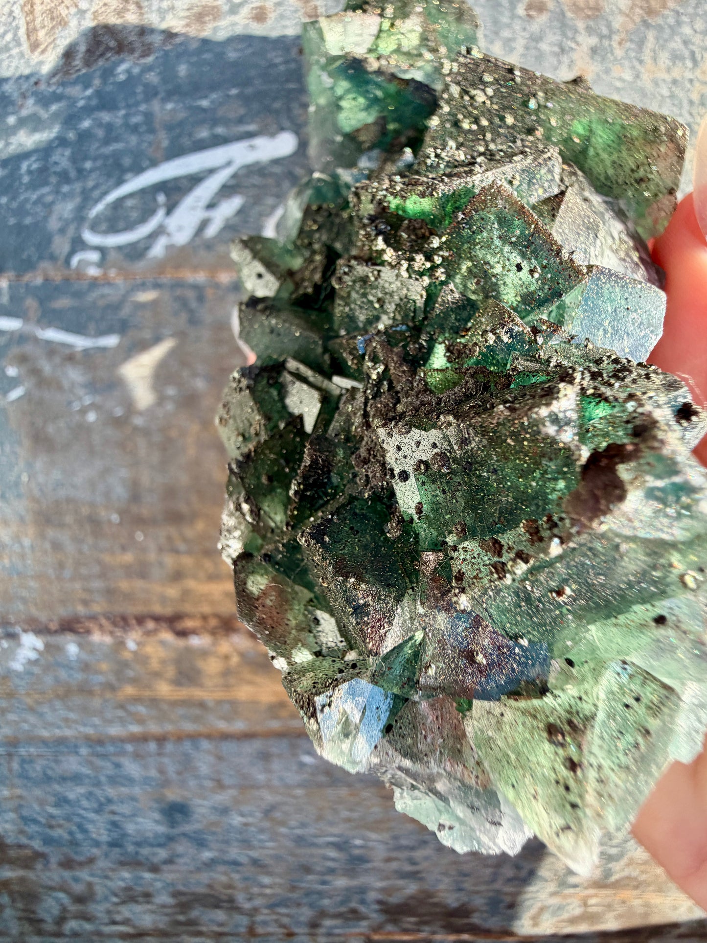 Gorgeous Cubic Dark Blue/Green Fluorite Specimen coated in Pyrite | China | Opt 56