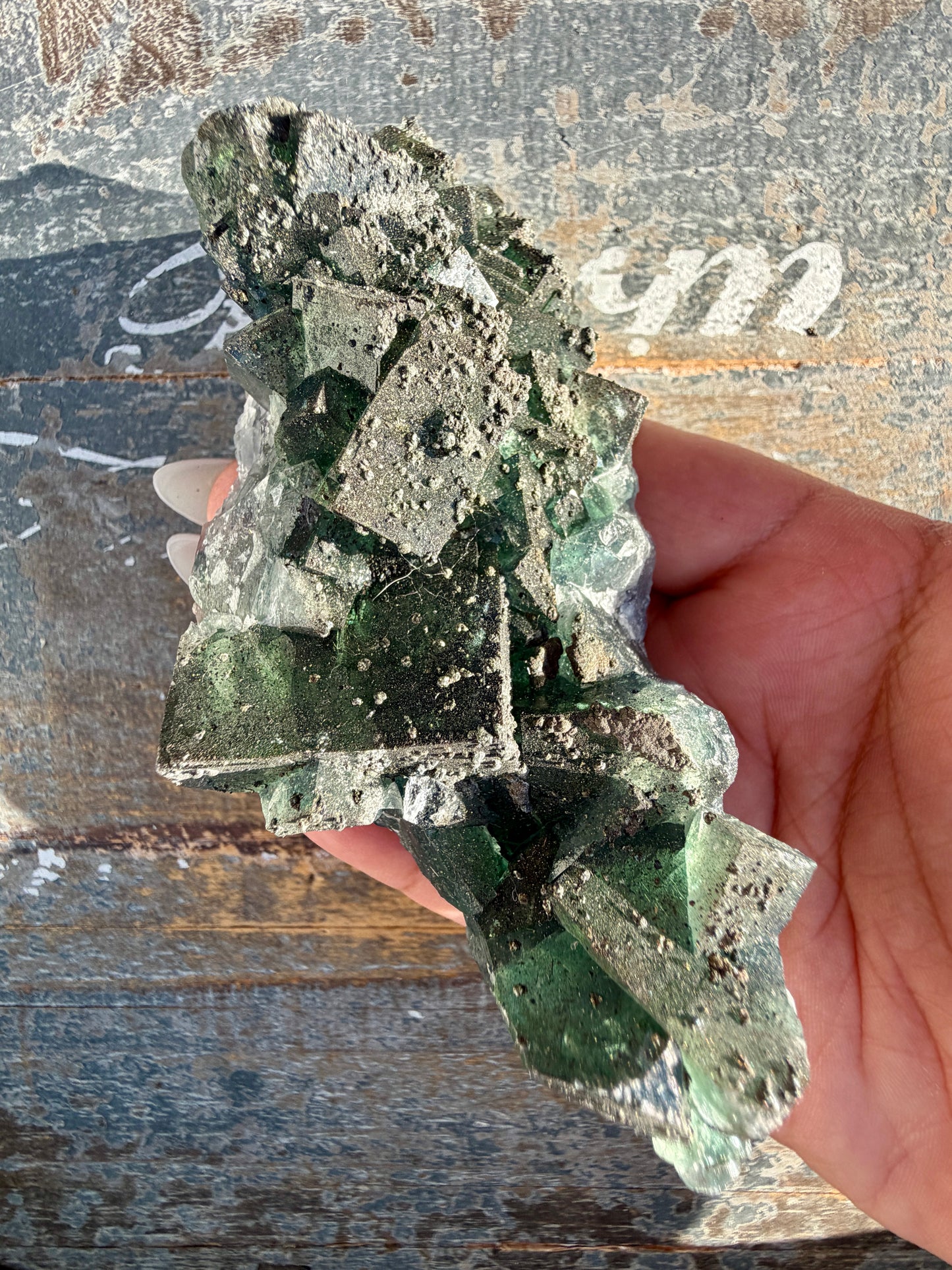 Gorgeous Cubic Dark Blue/Green Fluorite Specimen coated in Pyrite | China | Opt 56