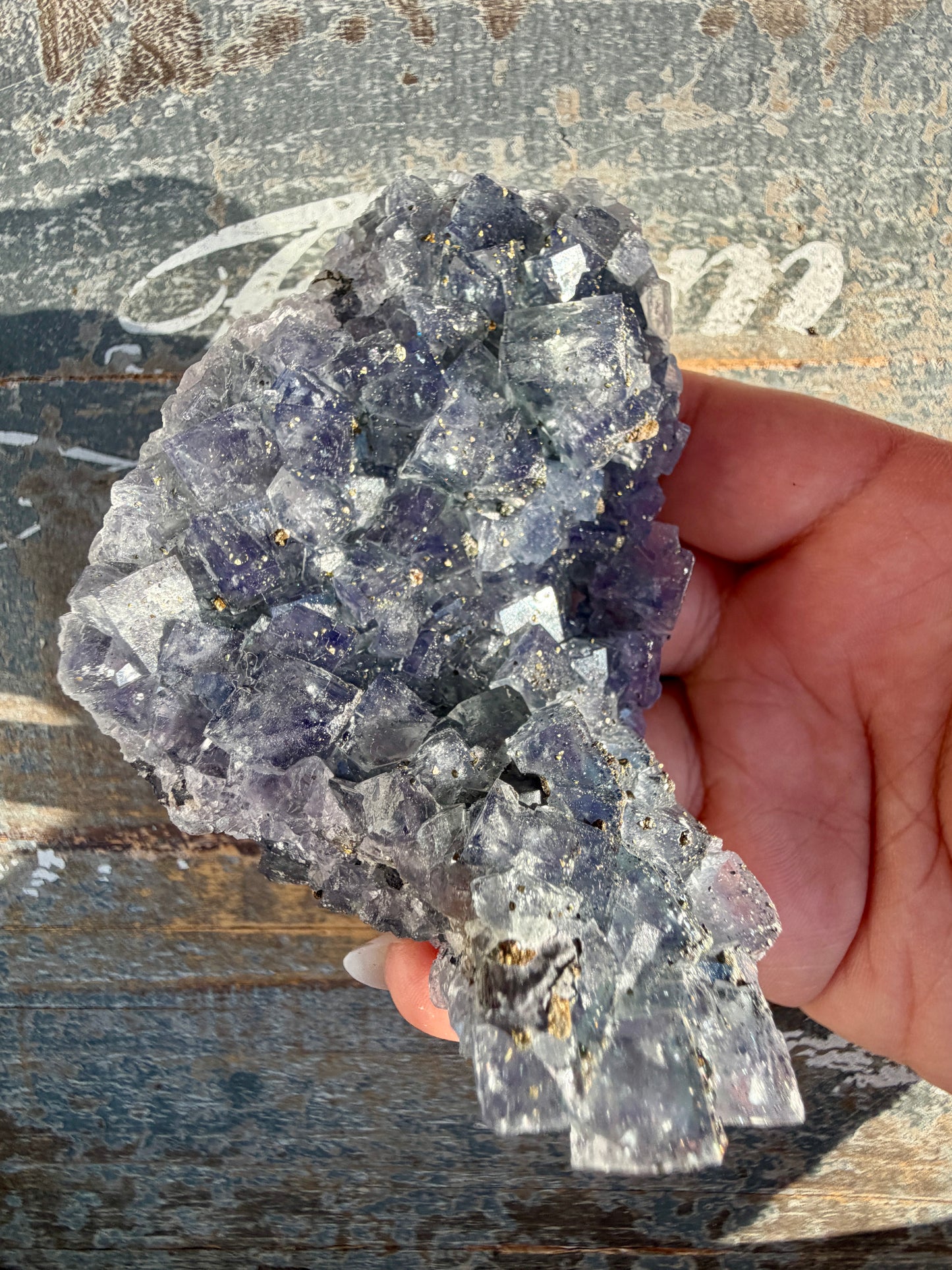 Gorgeous Cubic Dark Blue/Purple Fluorite Specimen coated in Pyrite | China | Opt 58