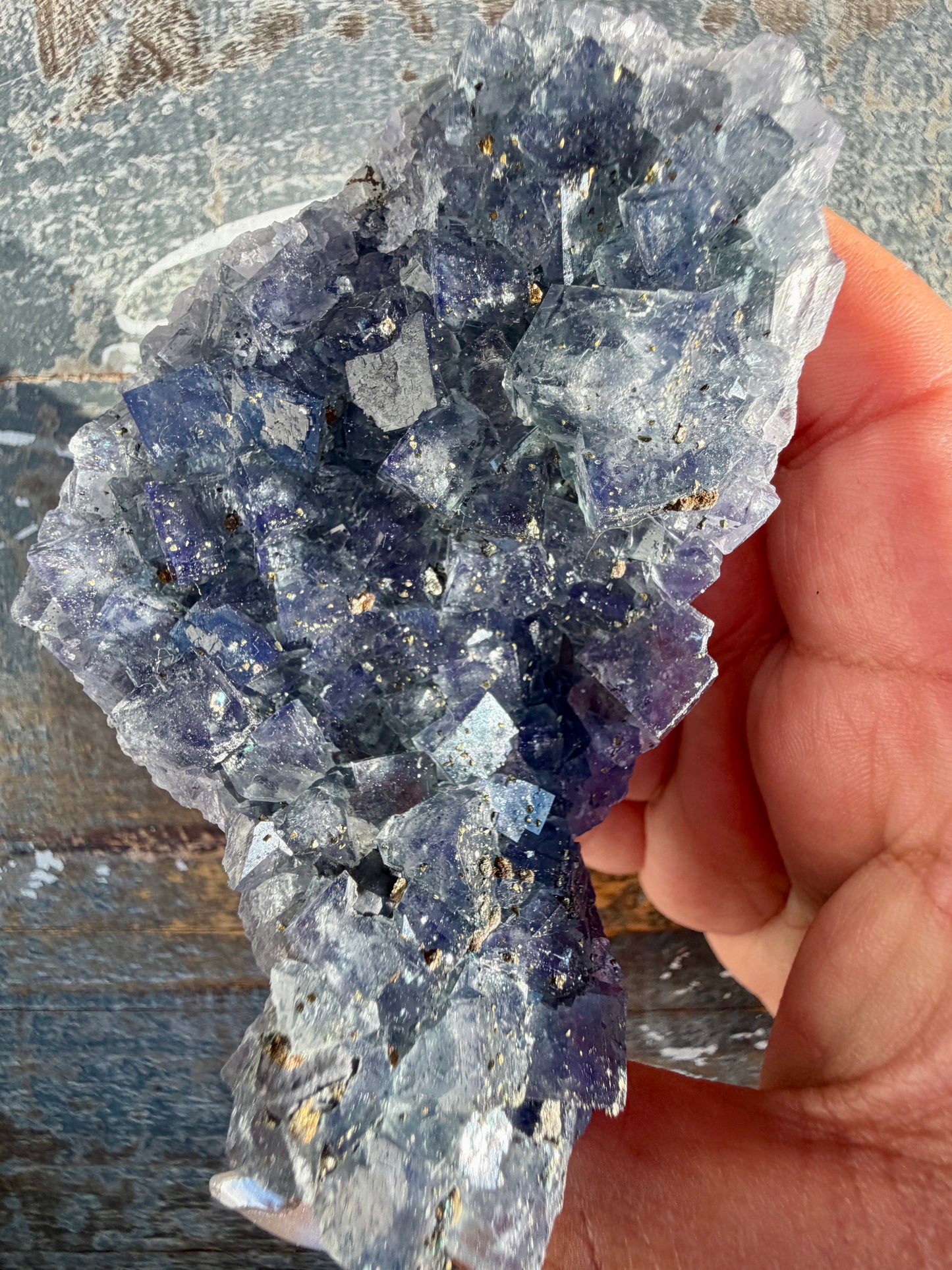 Gorgeous Cubic Dark Blue/Purple Fluorite Specimen coated in Pyrite | China | Opt 58