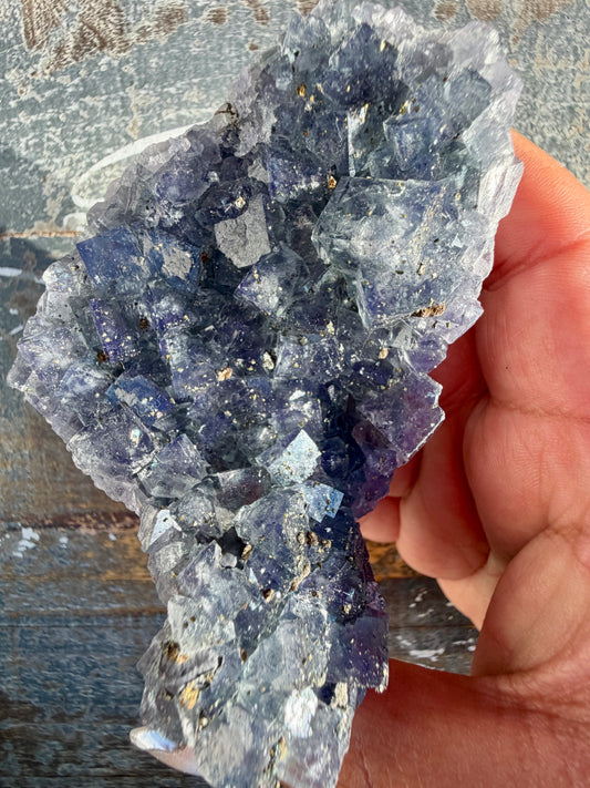 Gorgeous Cubic Dark Blue/Purple Fluorite Specimen coated in Pyrite | China | Opt 58