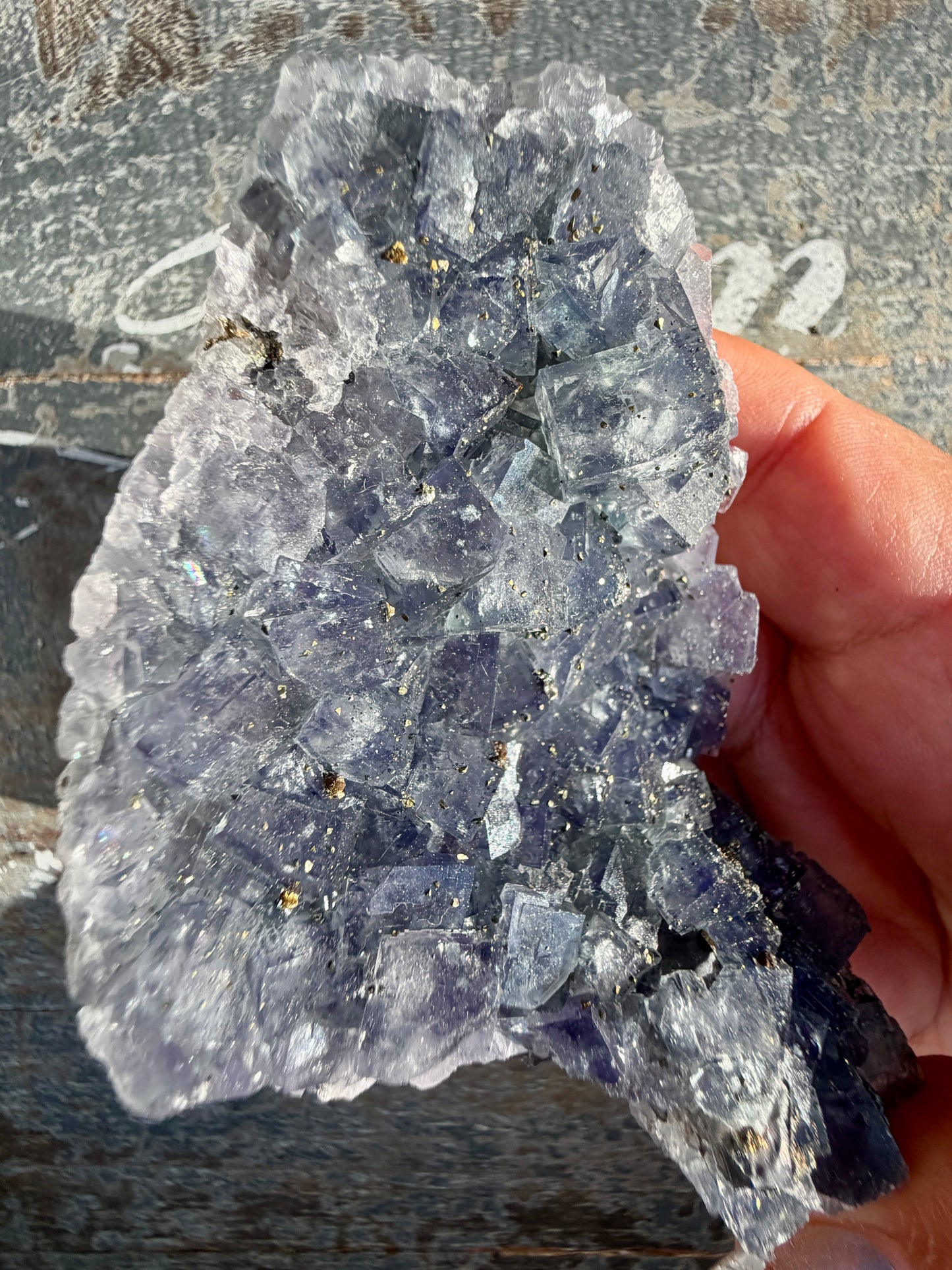 Gorgeous Cubic Dark Blue/Purple Fluorite Specimen coated in Pyrite | China | Opt 58