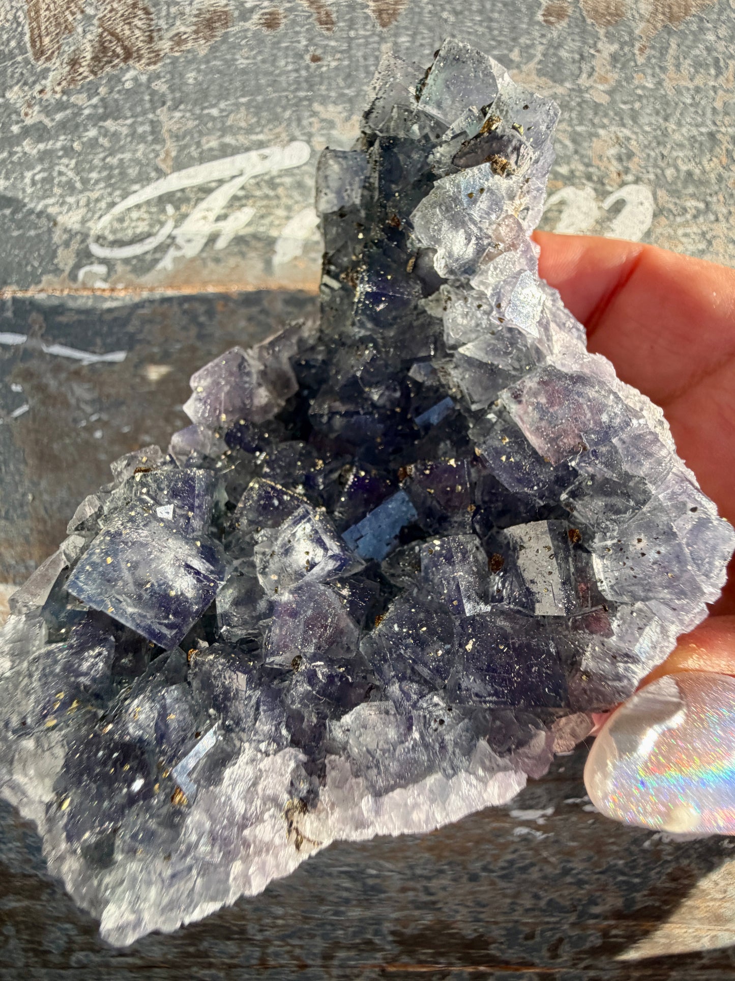 Gorgeous Cubic Dark Blue/Purple Fluorite Specimen coated in Pyrite | China | Opt 58