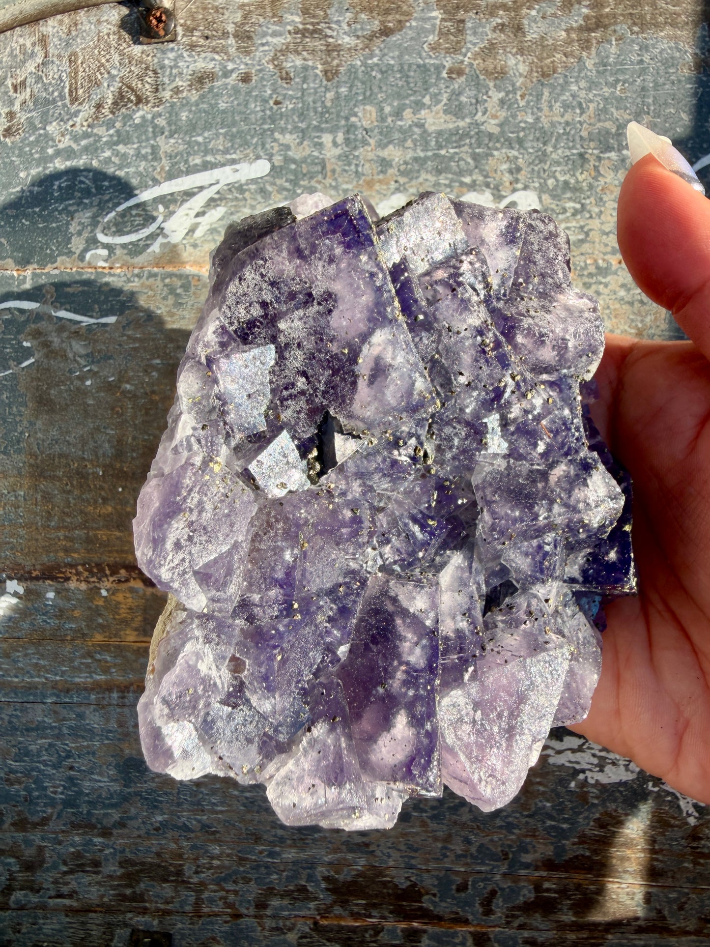 Gorgeous Cubic Dark Blue/Purple Fluorite Specimen coated in Pyrite | China | Opt 44