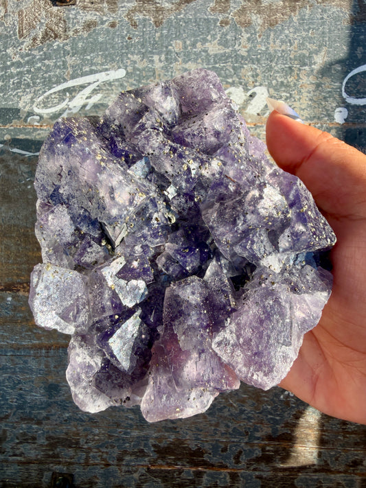 Gorgeous Cubic Dark Blue/Purple Fluorite Specimen coated in Pyrite | China | Opt 44