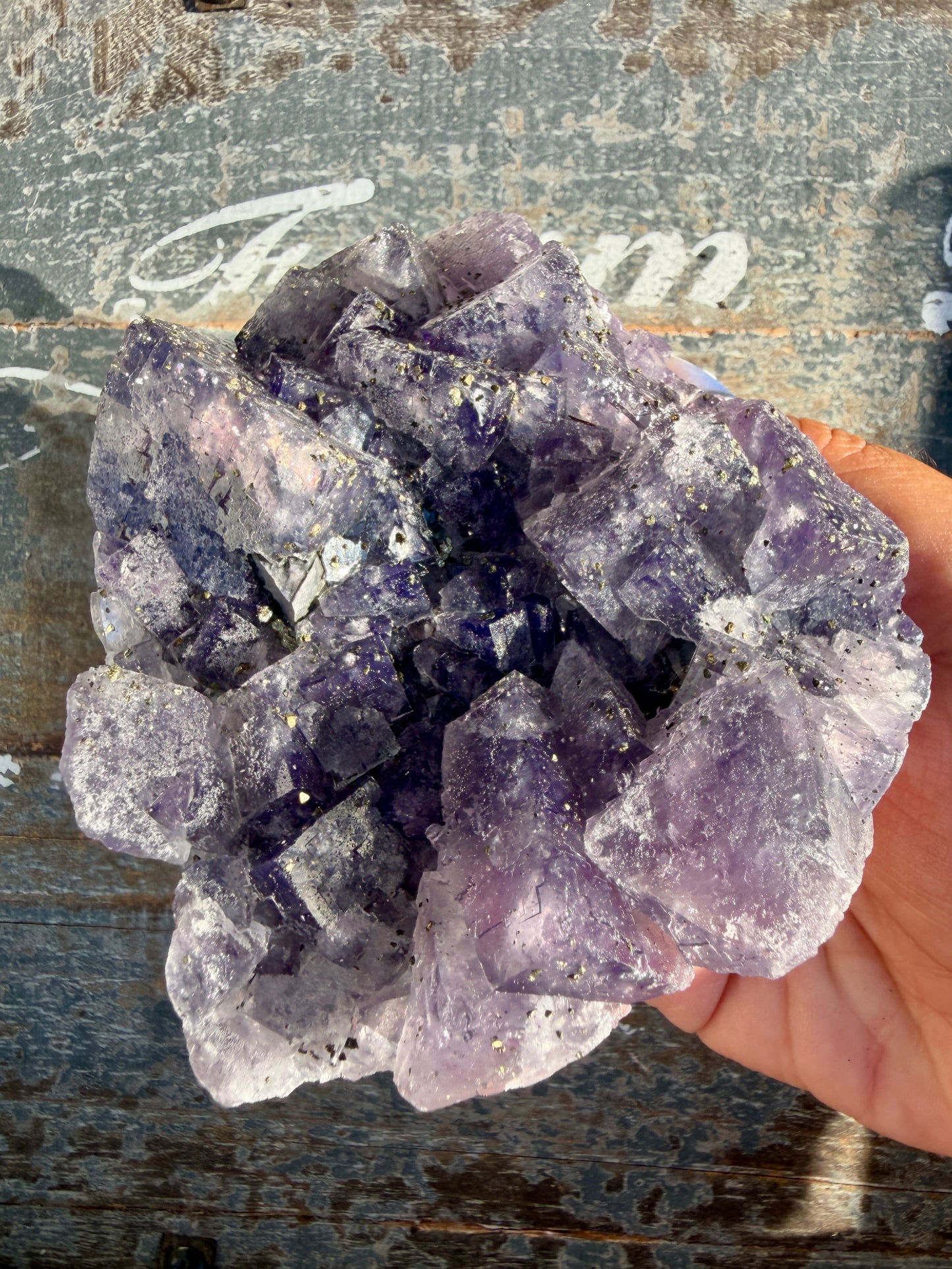 Gorgeous Cubic Dark Blue/Purple Fluorite Specimen coated in Pyrite | China | Opt 44