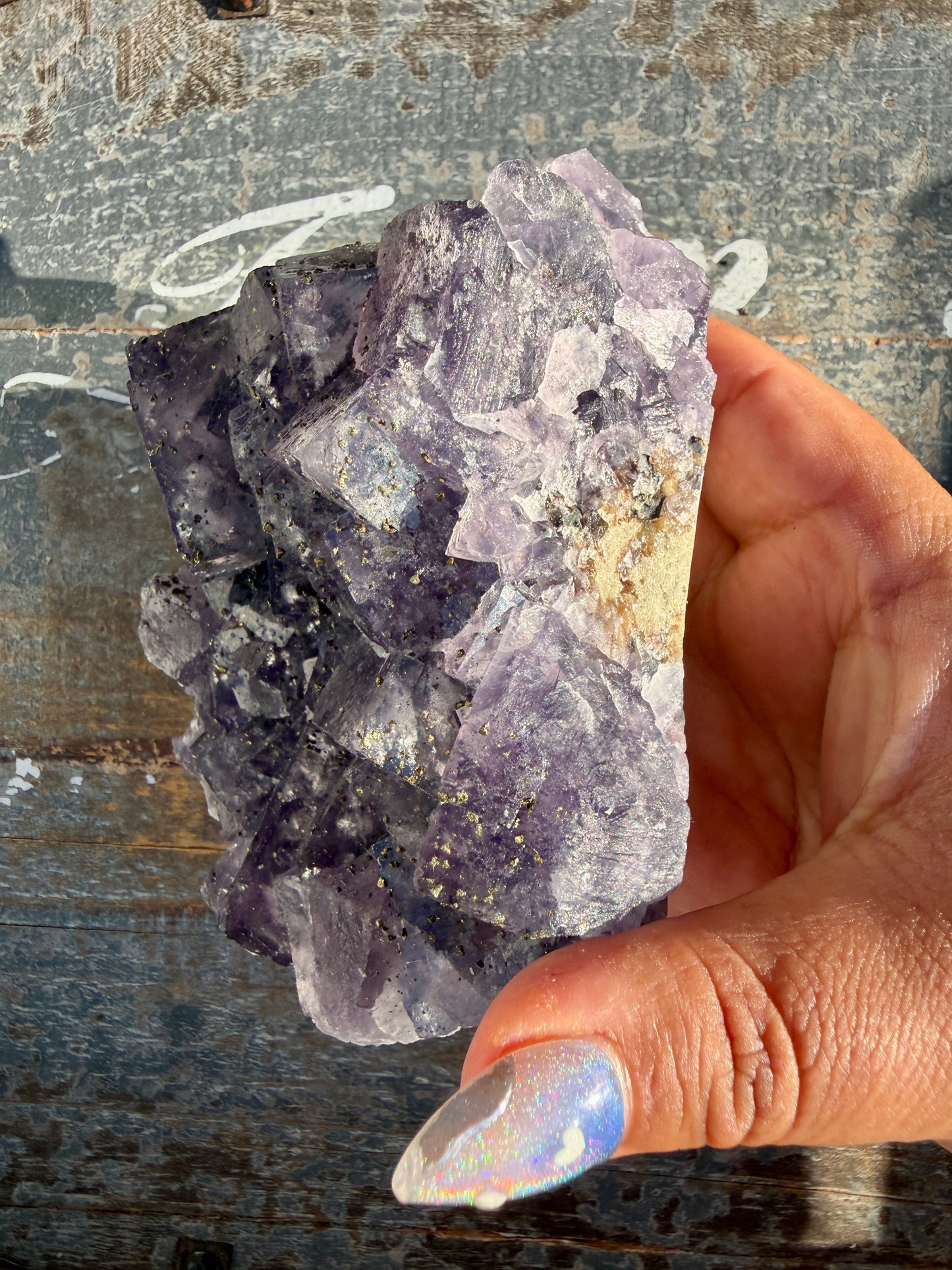 Gorgeous Cubic Dark Blue/Purple Fluorite Specimen coated in Pyrite | China | Opt 44