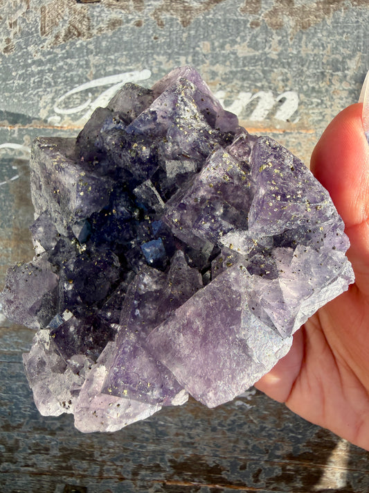 Gorgeous Cubic Dark Blue/Purple Fluorite Specimen coated in Pyrite | China | Opt 44