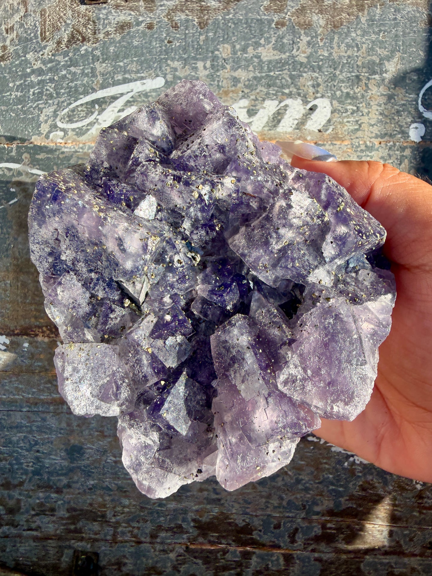 Gorgeous Cubic Dark Blue/Purple Fluorite Specimen coated in Pyrite | China | Opt 44