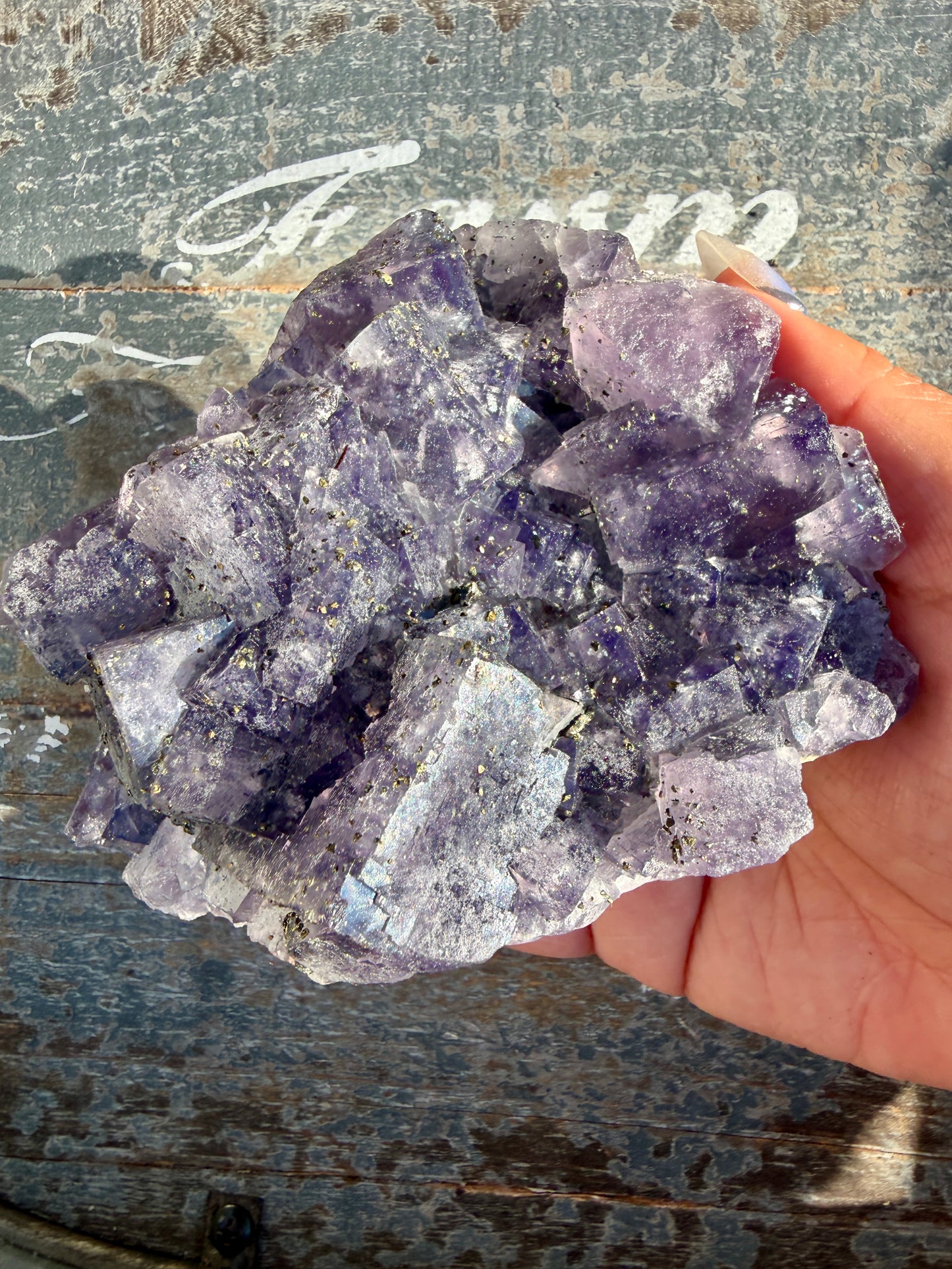 Gorgeous Cubic Dark Blue/Purple Fluorite Specimen coated in Pyrite | China | Opt 44