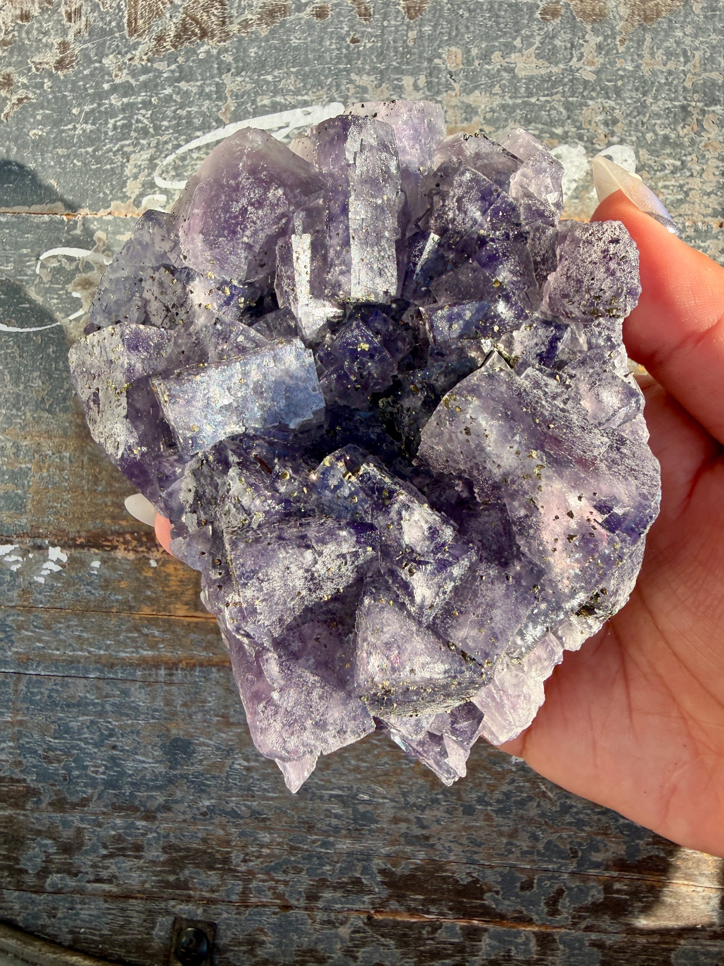 Gorgeous Cubic Dark Blue/Purple Fluorite Specimen coated in Pyrite | China | Opt 44
