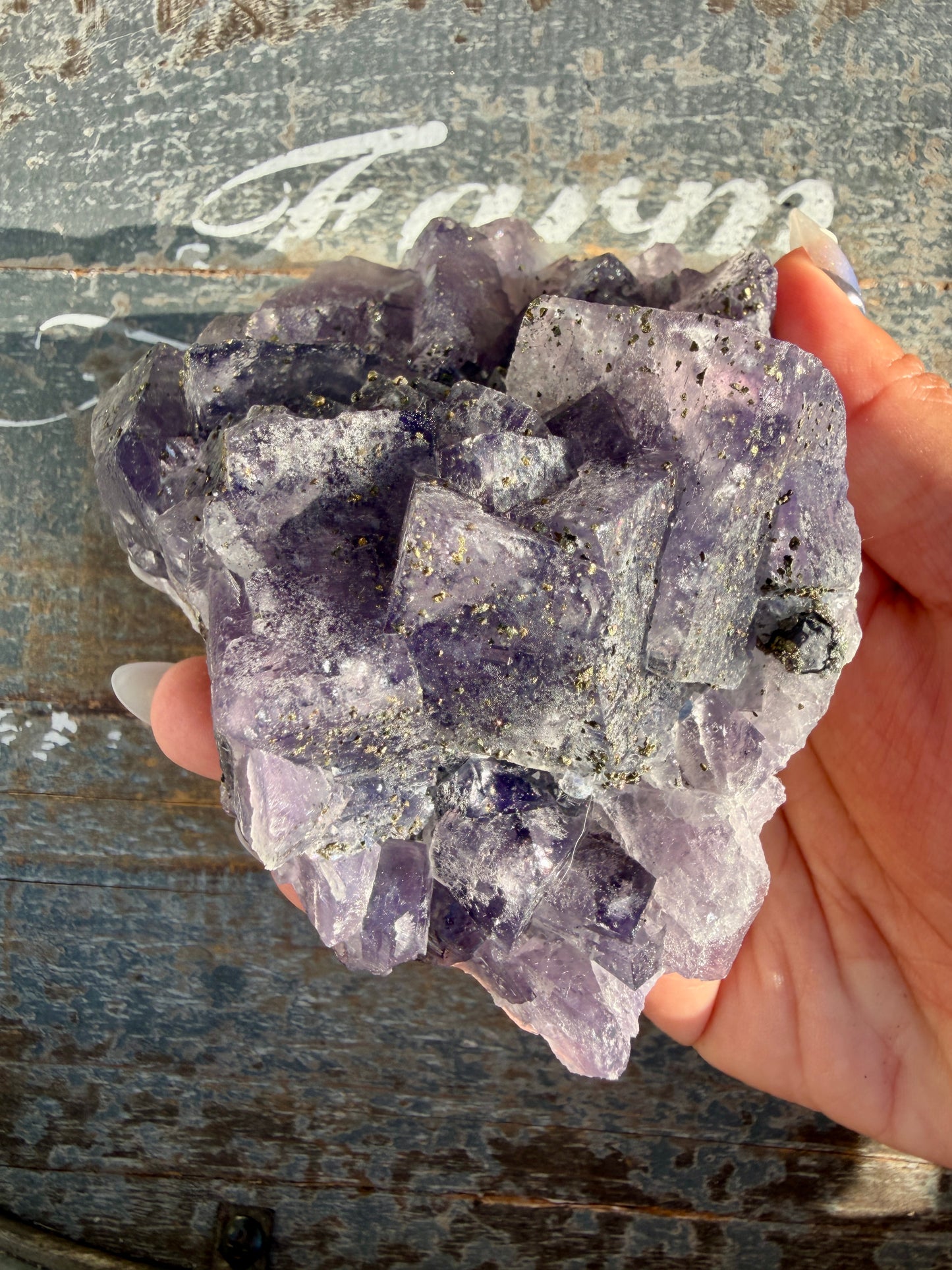 Gorgeous Cubic Dark Blue/Purple Fluorite Specimen coated in Pyrite | China | Opt 44
