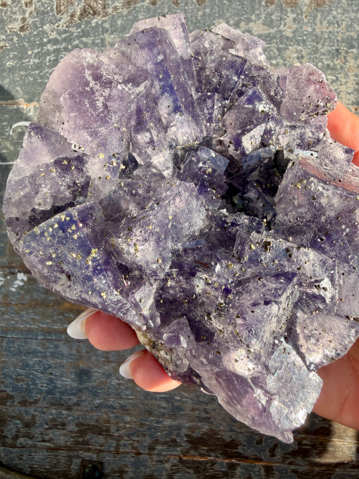 Gorgeous Cubic Dark Blue/Purple Fluorite Specimen coated in Pyrite | China | Opt 44