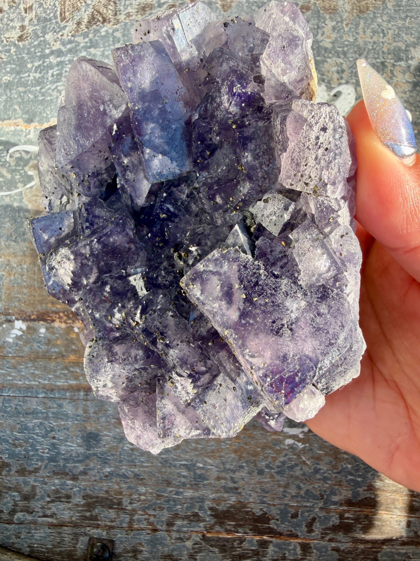 Gorgeous Cubic Dark Blue/Purple Fluorite Specimen coated in Pyrite | China | Opt 44